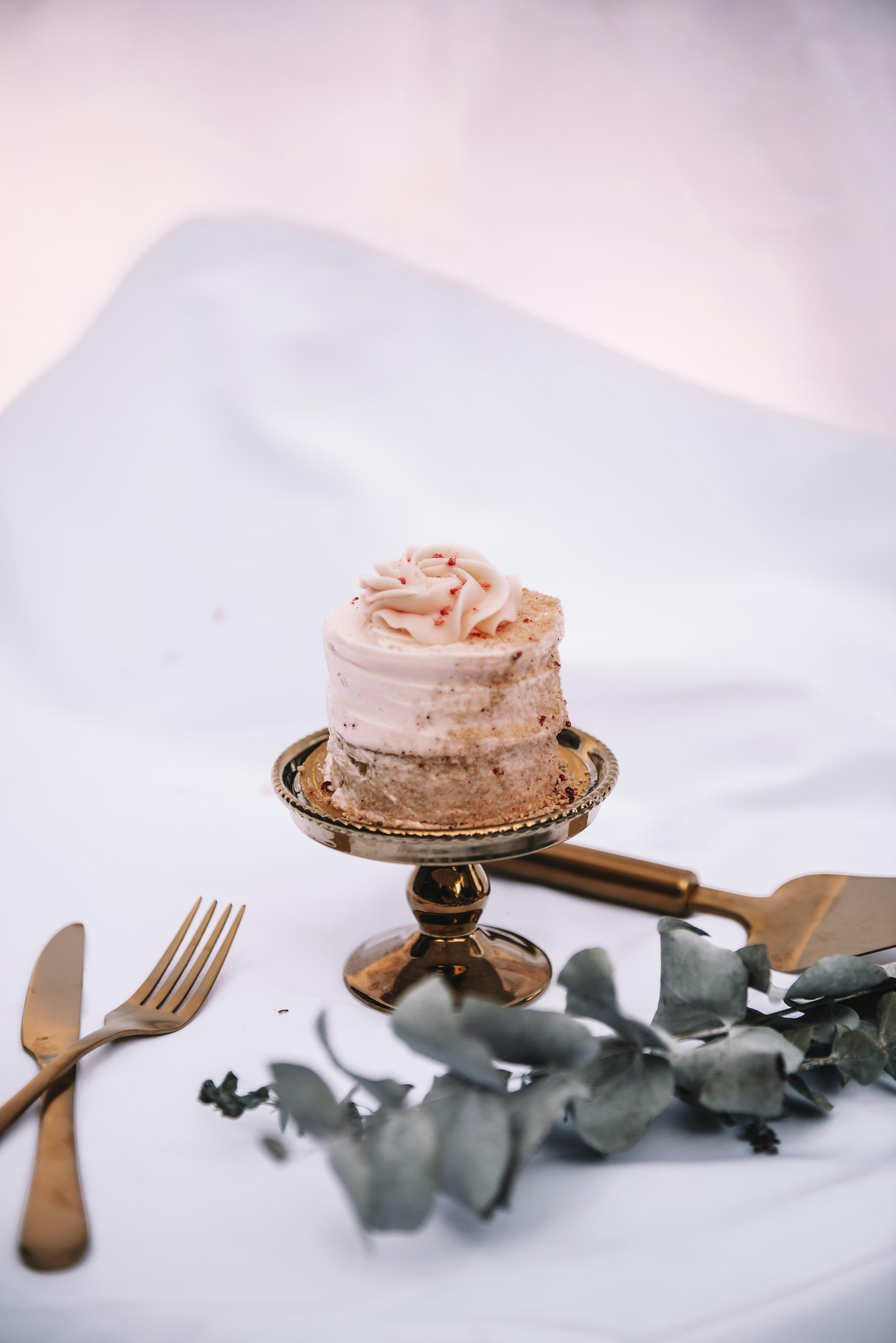 Photo by sadieicoulter