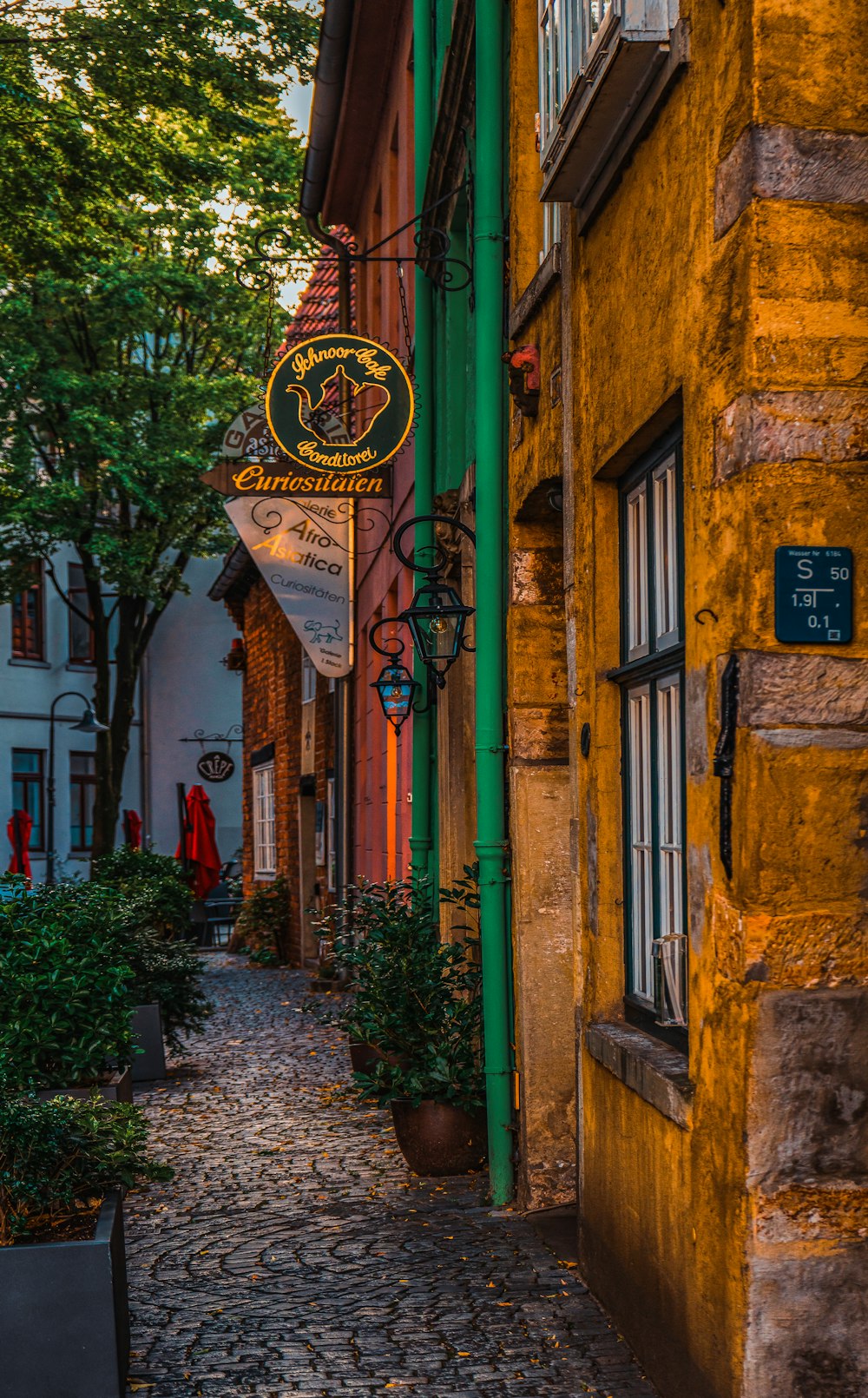 a cobblestone street lined with buildings and trees