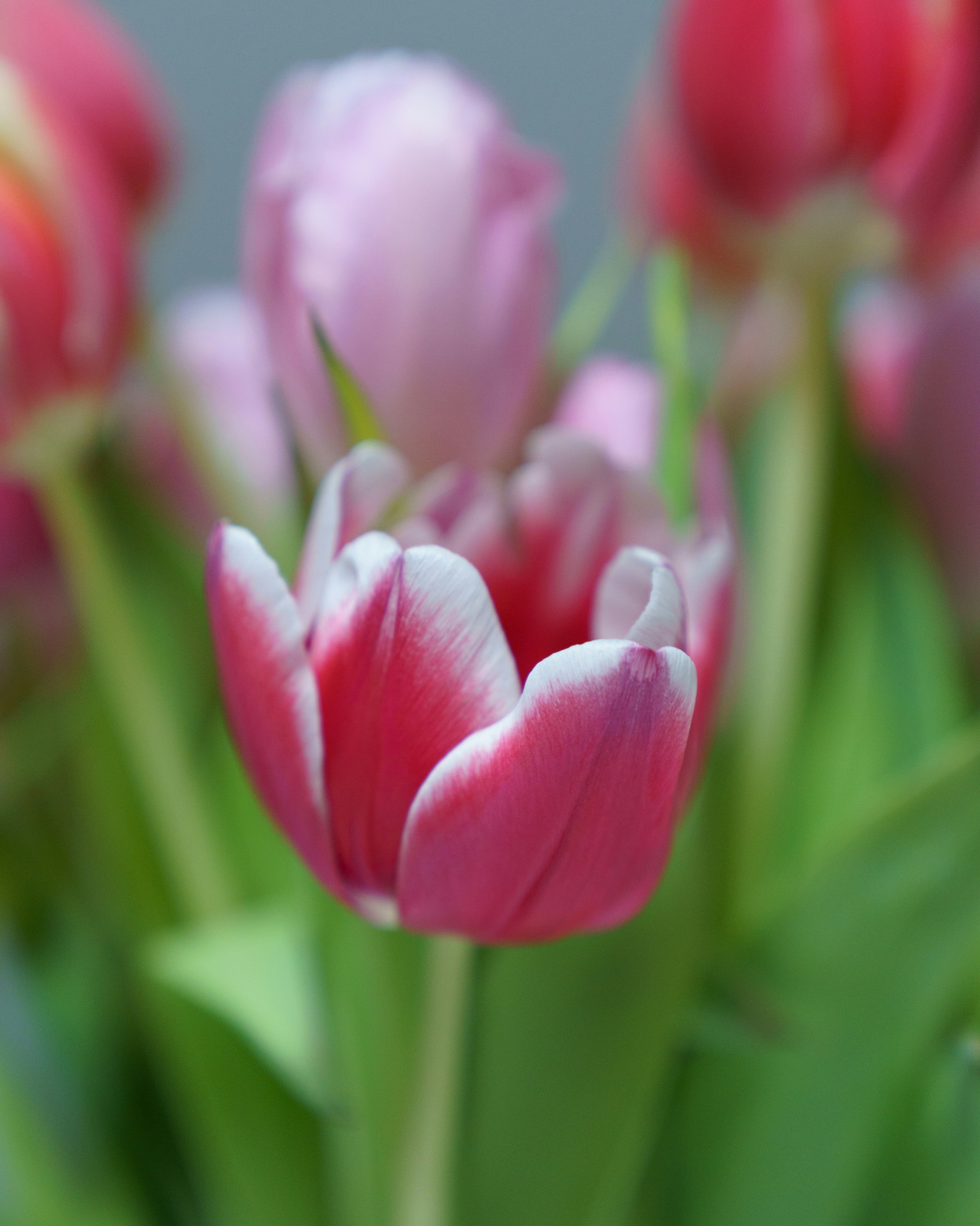 Photo by bangscreative