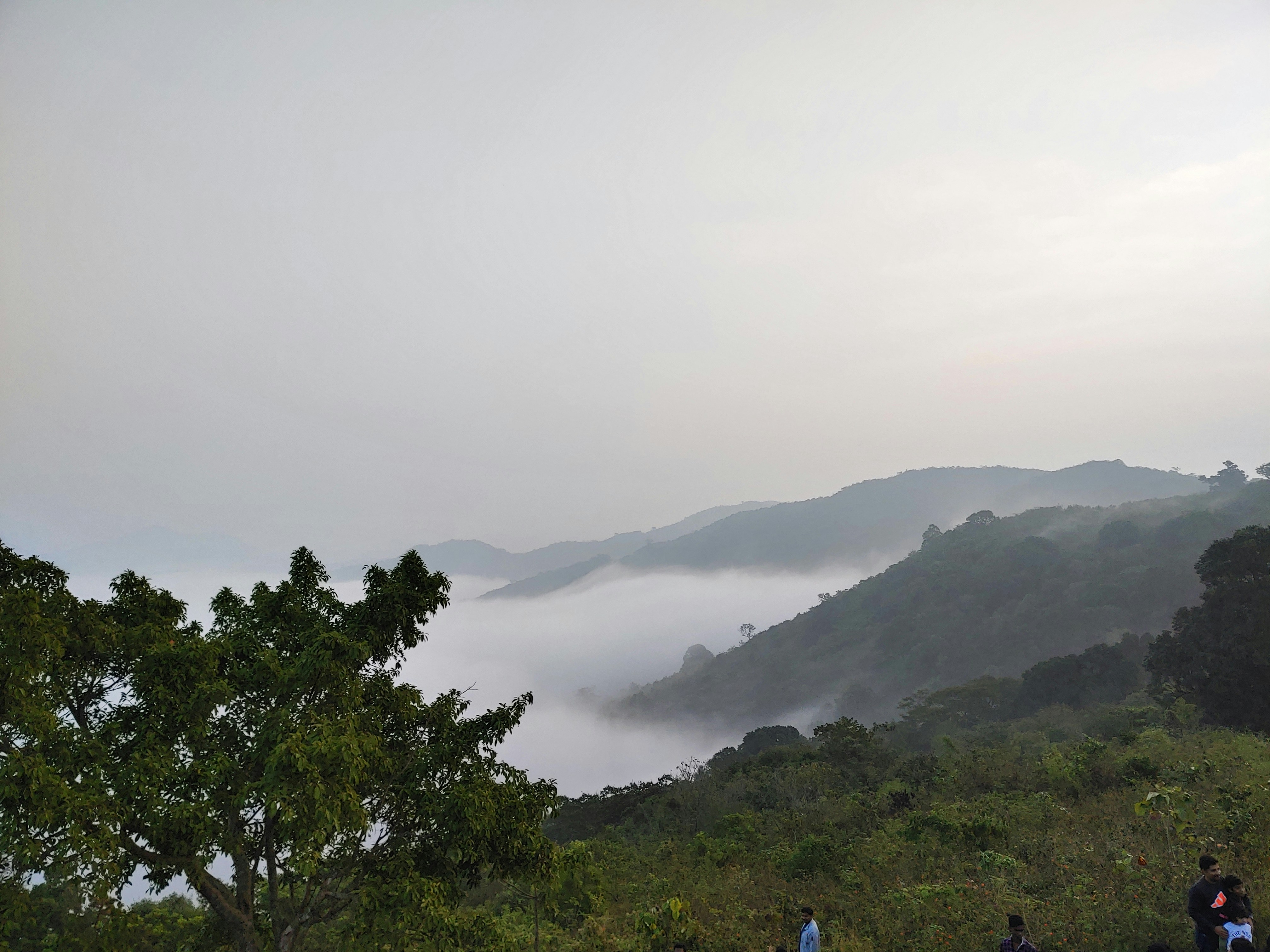 Photo by satishdharmavarapu