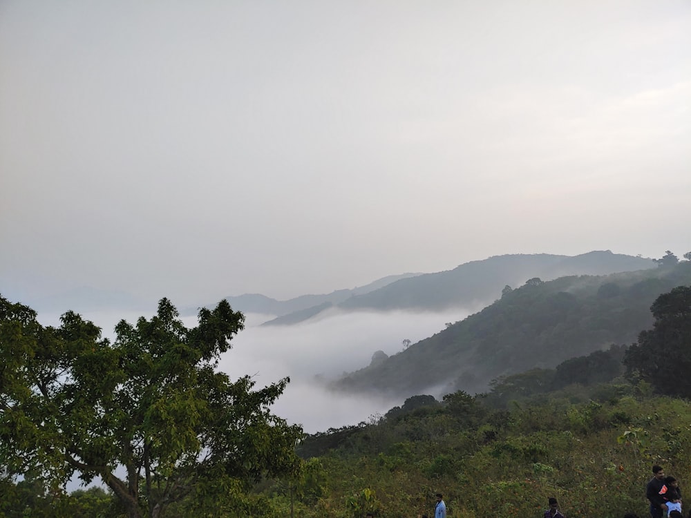 a group of people standing on top of a lush green hillside