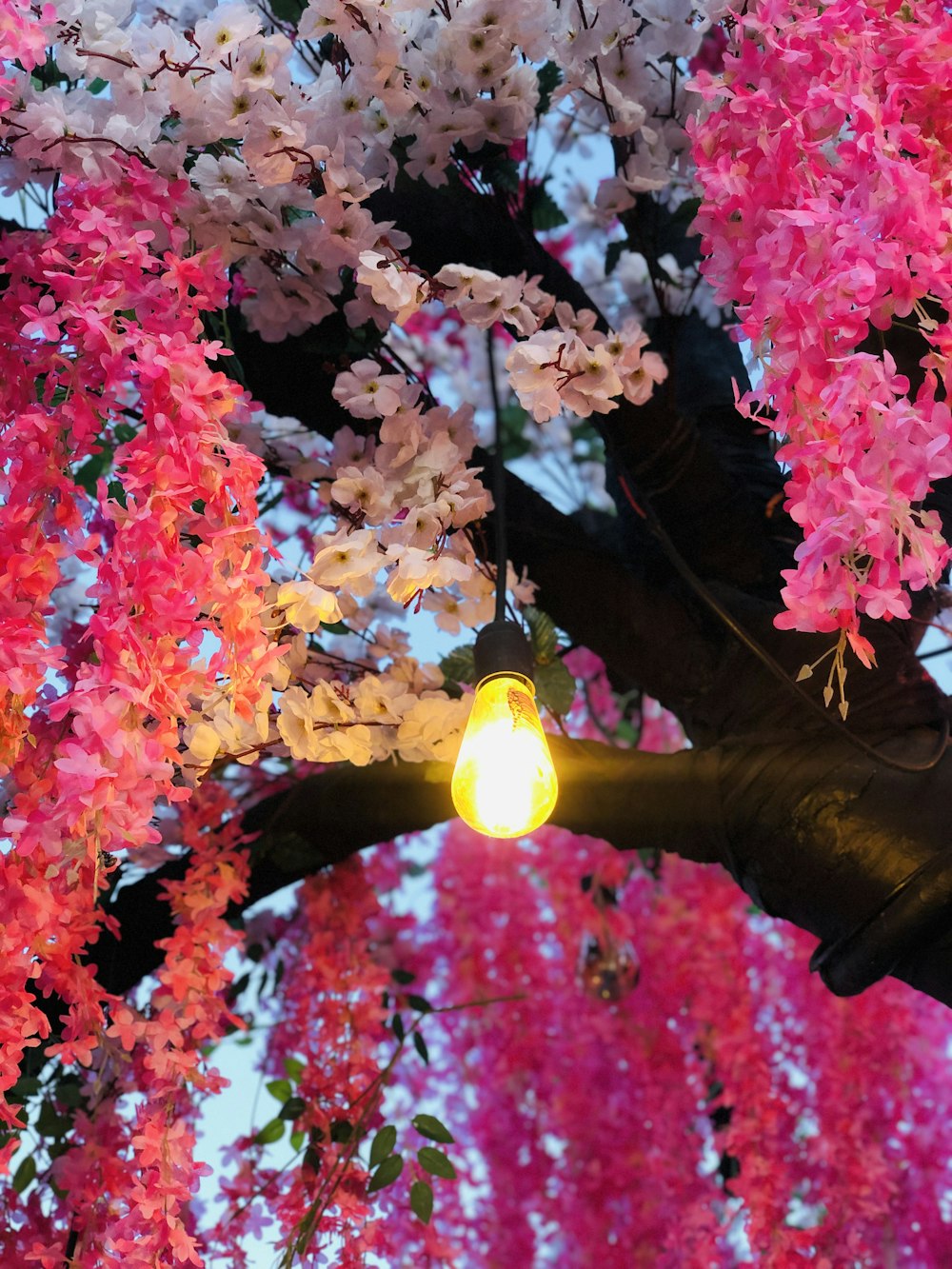 a tree with pink and white flowers and a light bulb