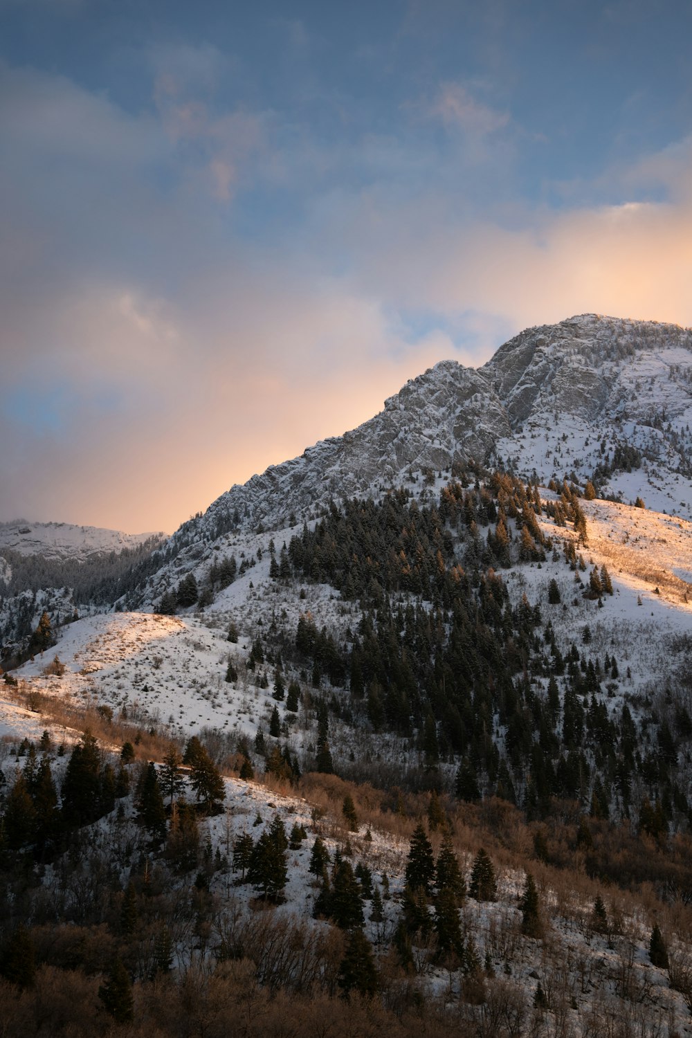 ein schneebedeckter Berg und Bäume unter einem bewölkten Himmel