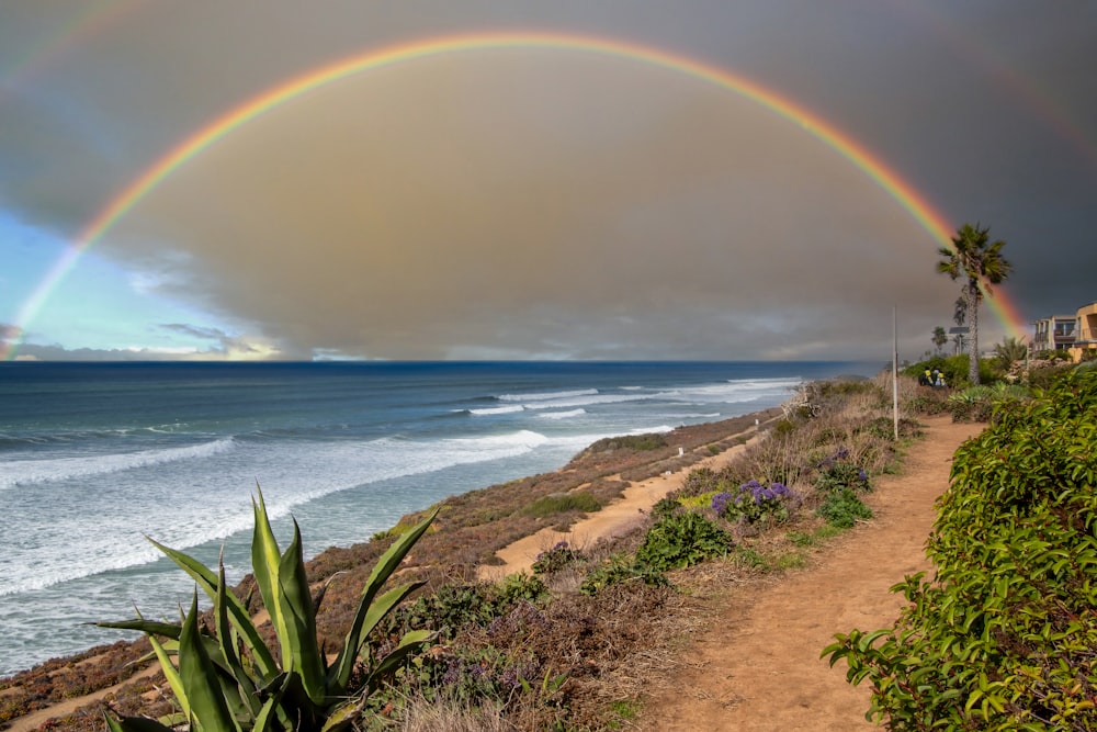 two rainbows over the ocean and a path leading to the beach