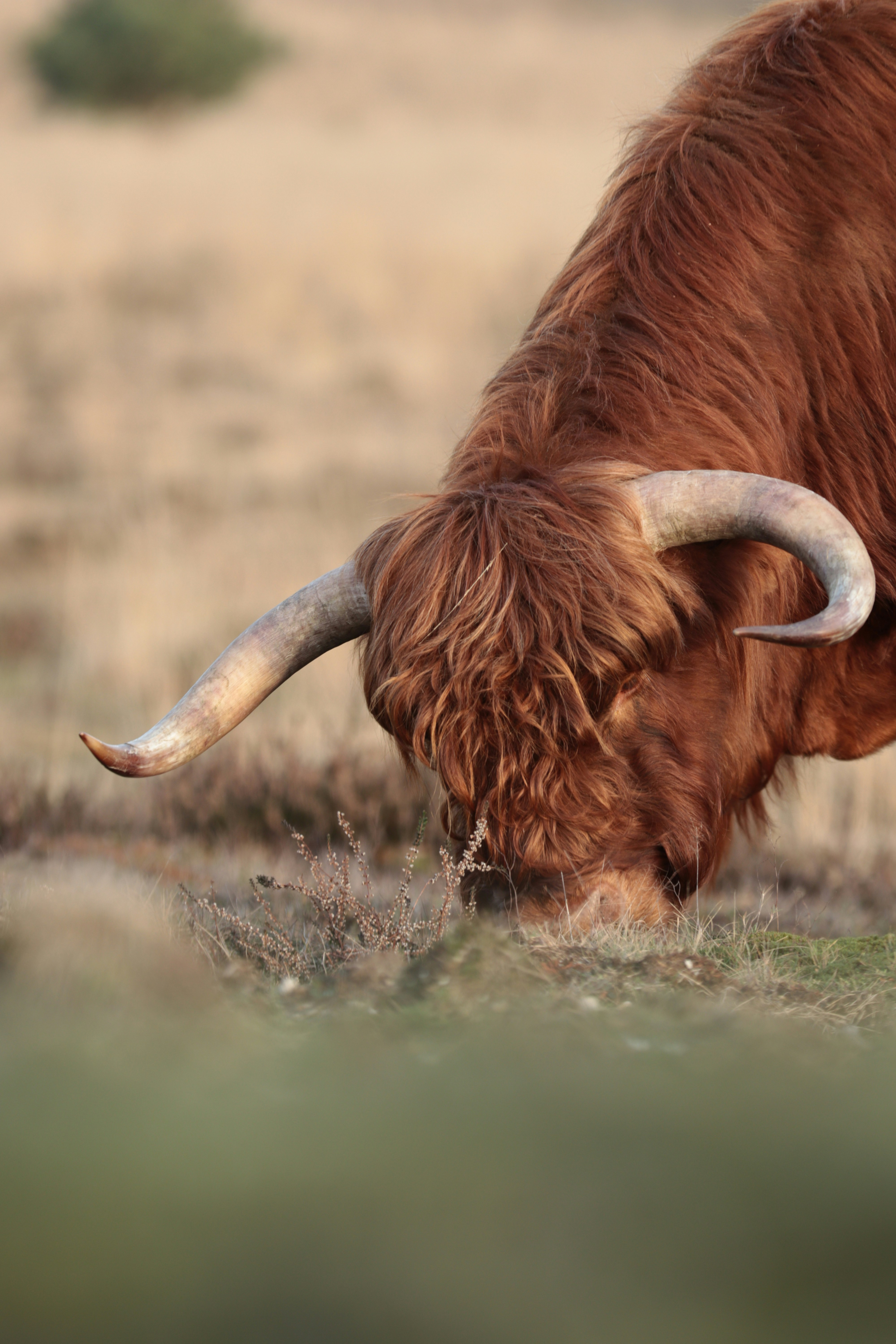 Photo by kccreations