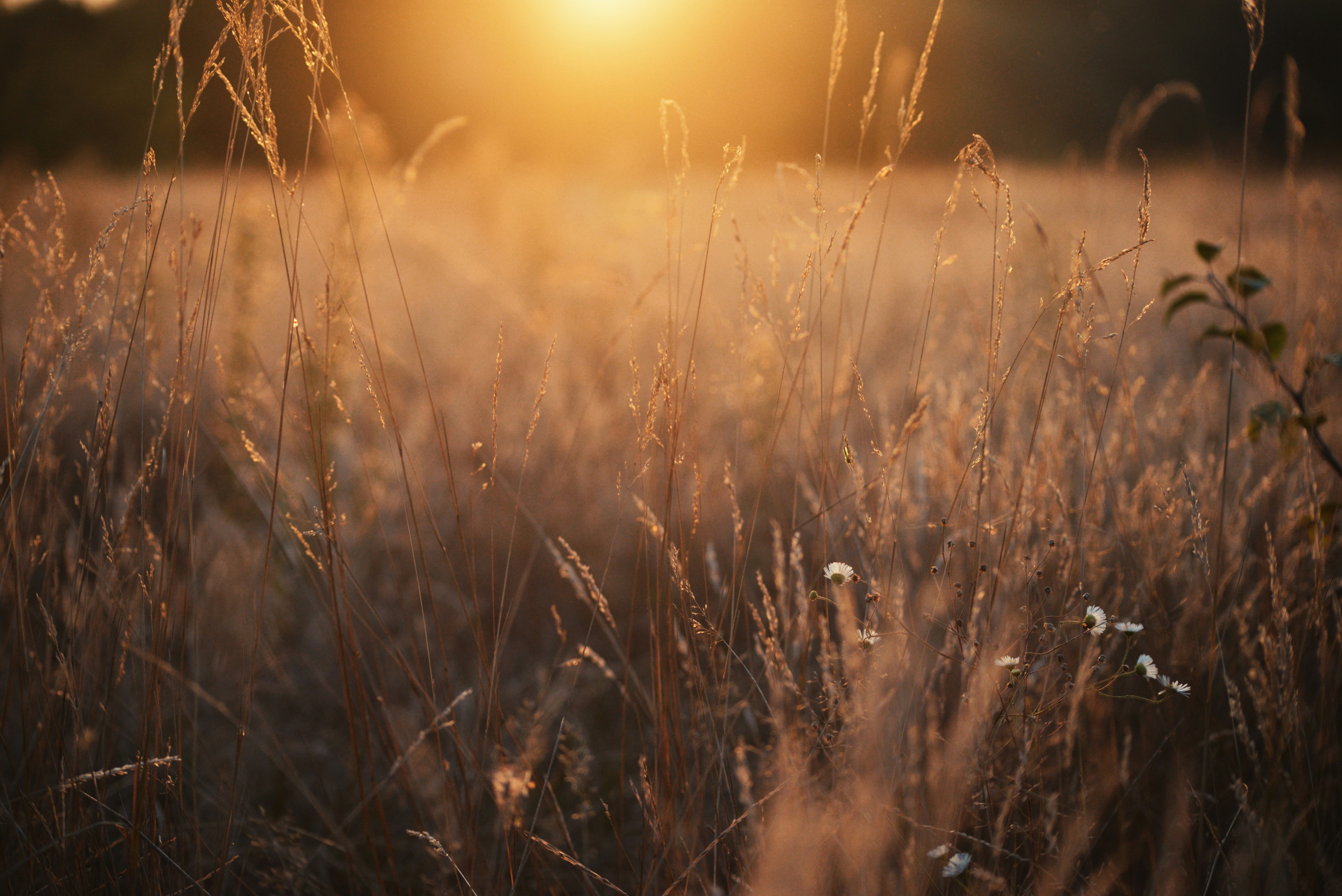 Photo by cherstve_pechivo