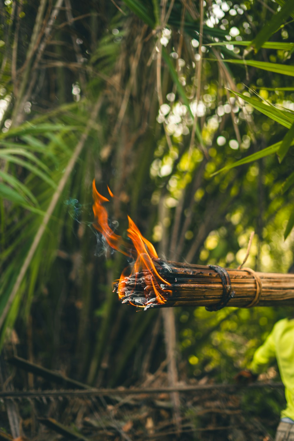 a close up of a bamboo stick with fire
