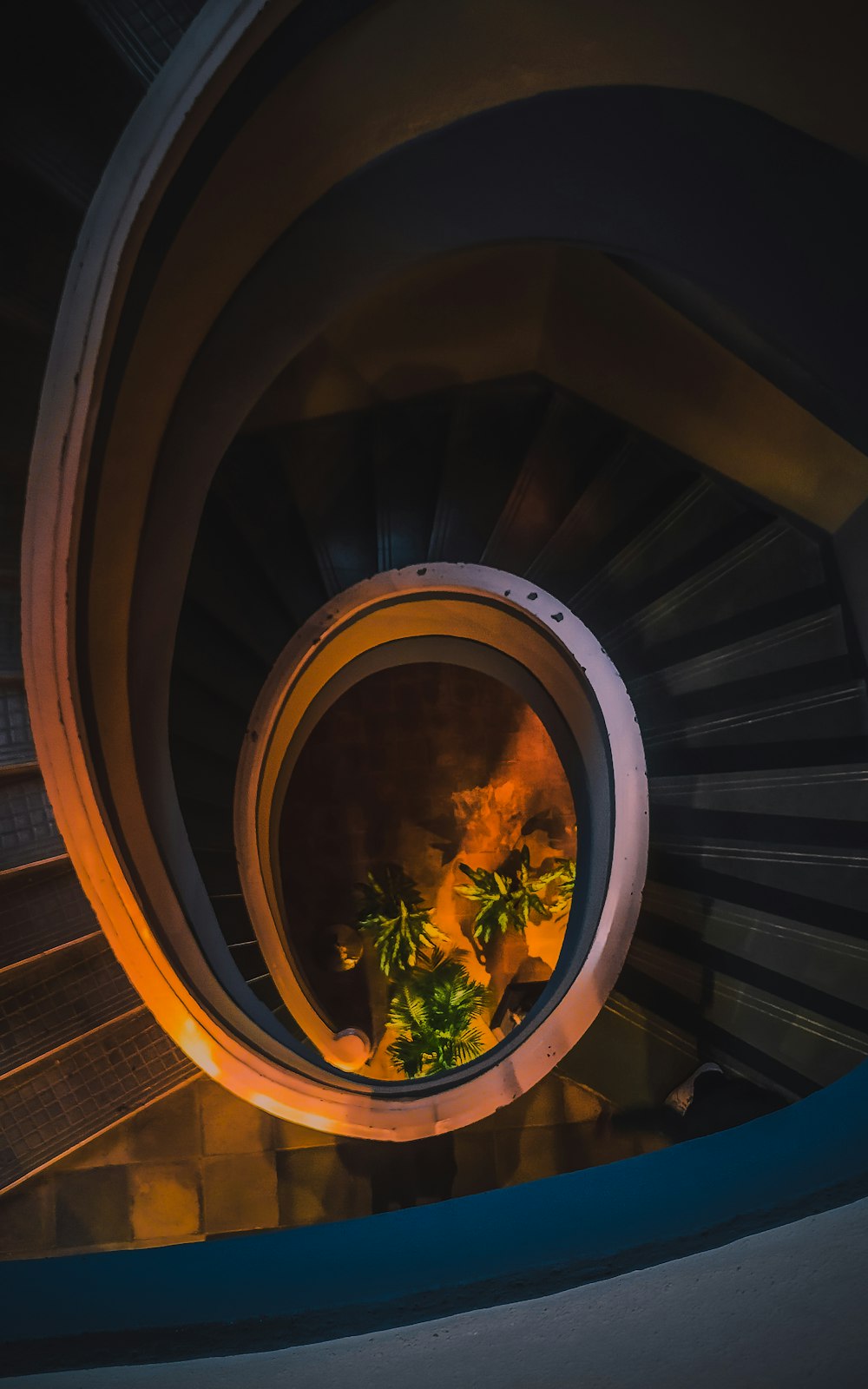 a spiral staircase with a plant growing out of it