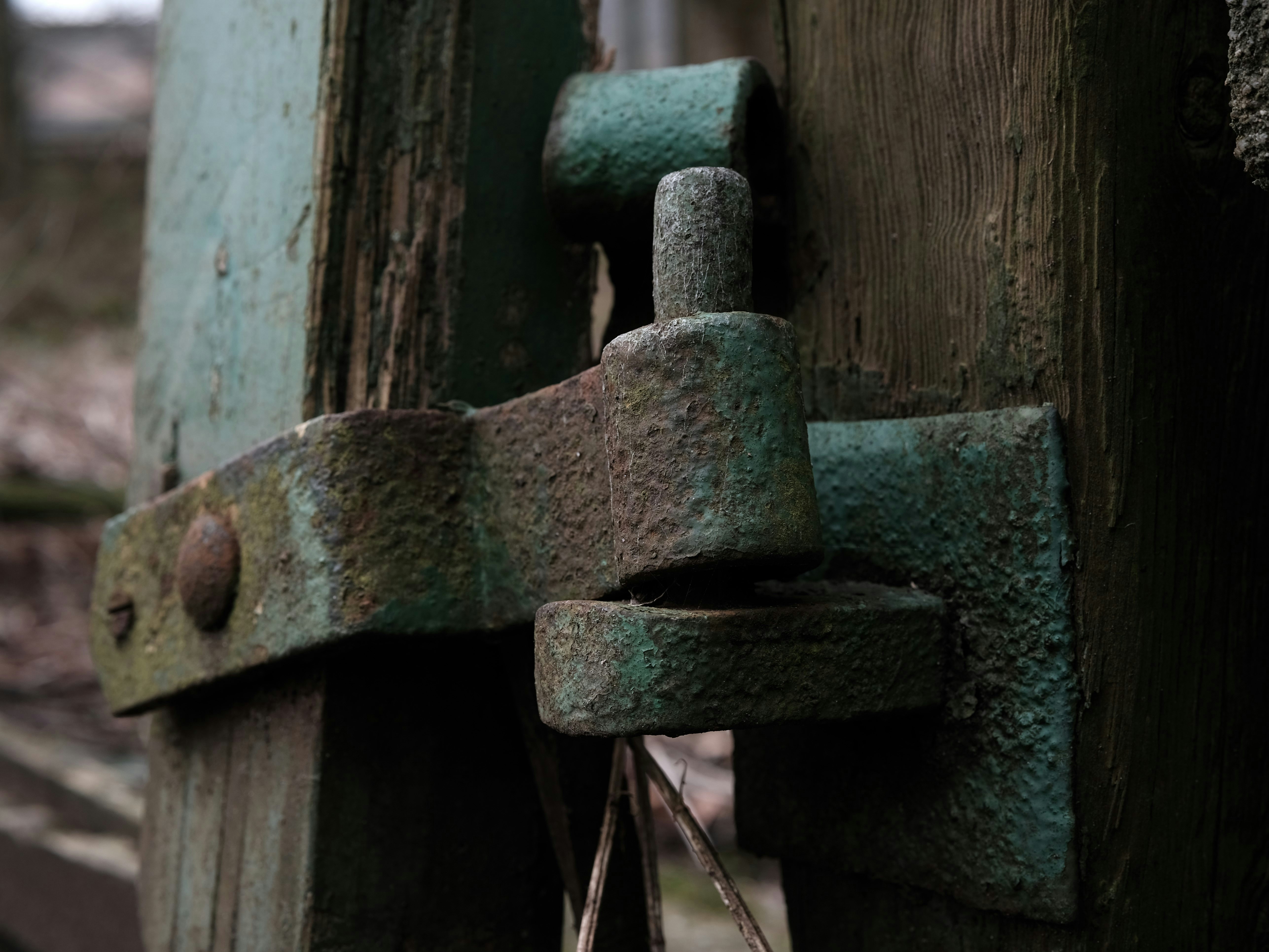 Photo by rory_tucker_photography