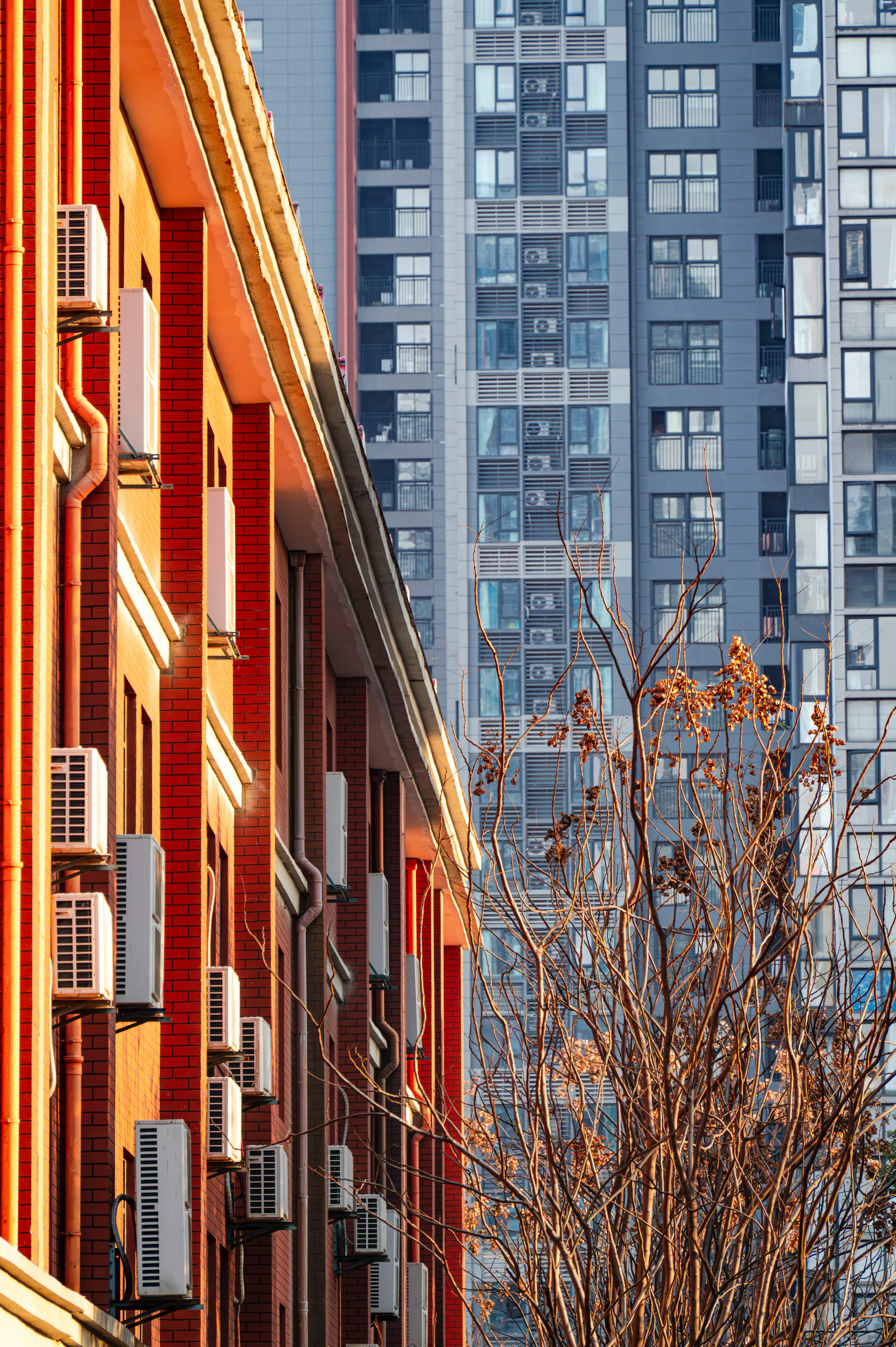 Photo by excellentcx