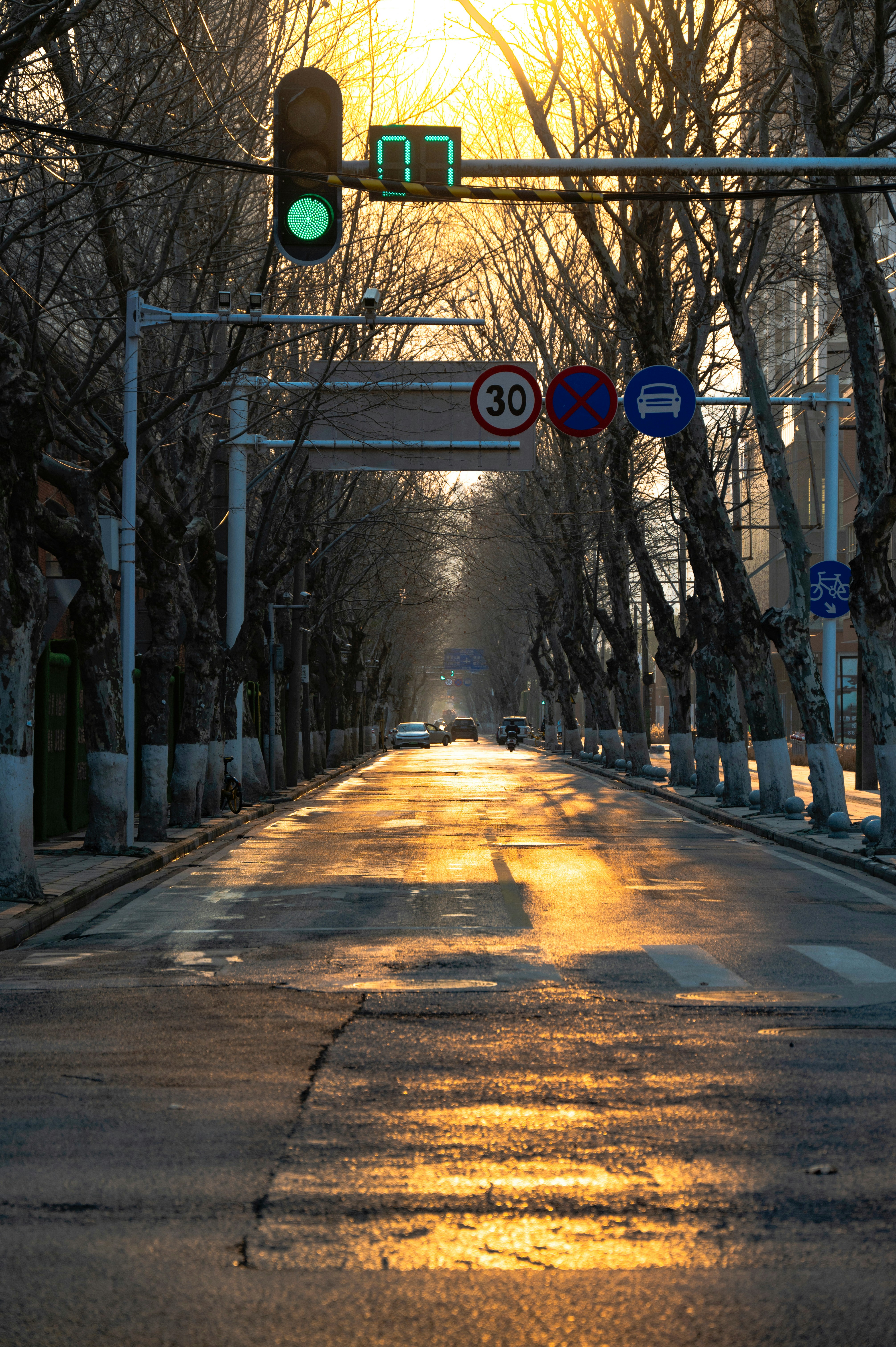 a traffic light hanging over a street next to trees