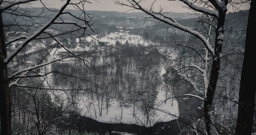 a snowy landscape with trees and a river