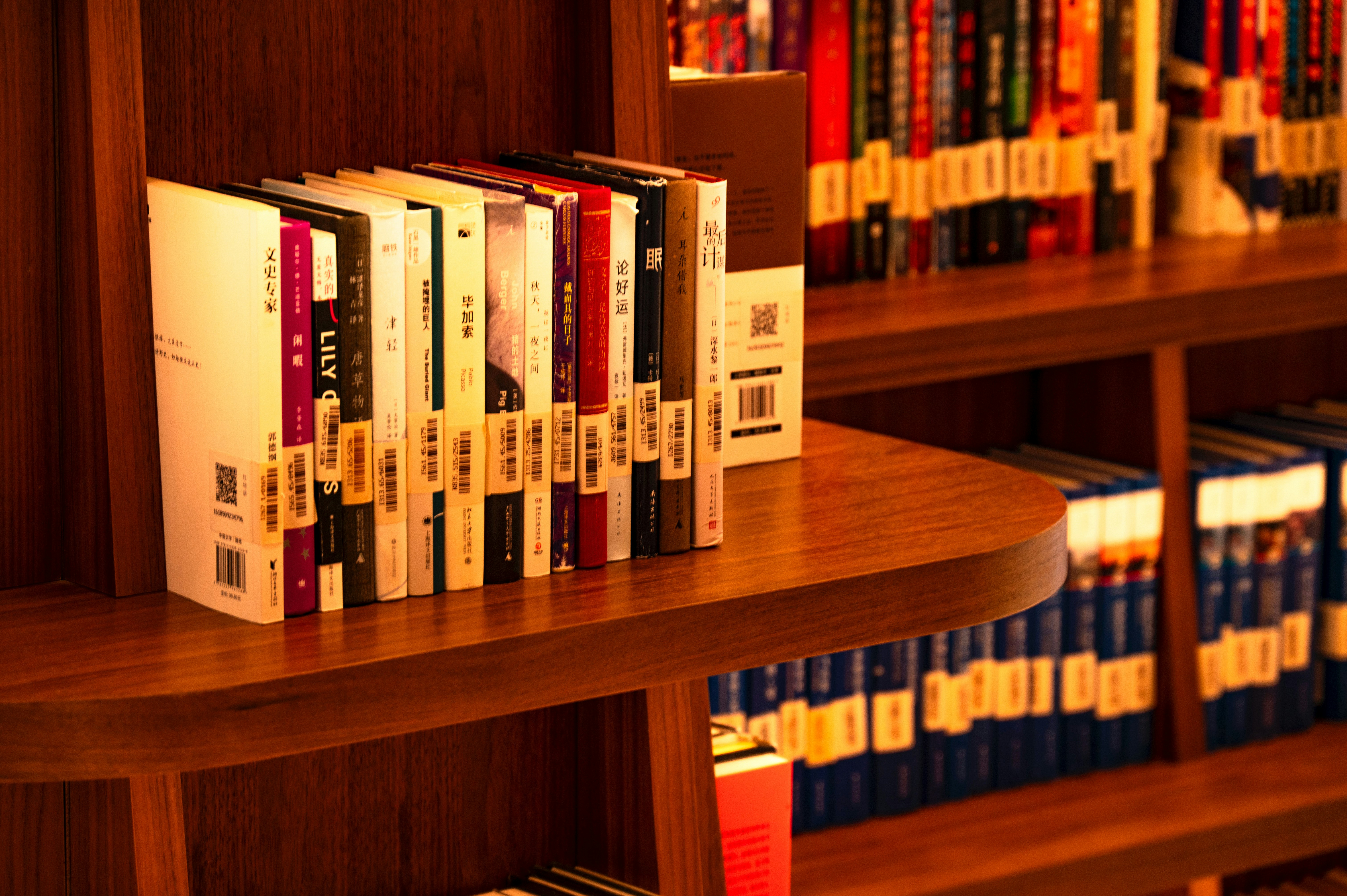 Photo by excellentcx