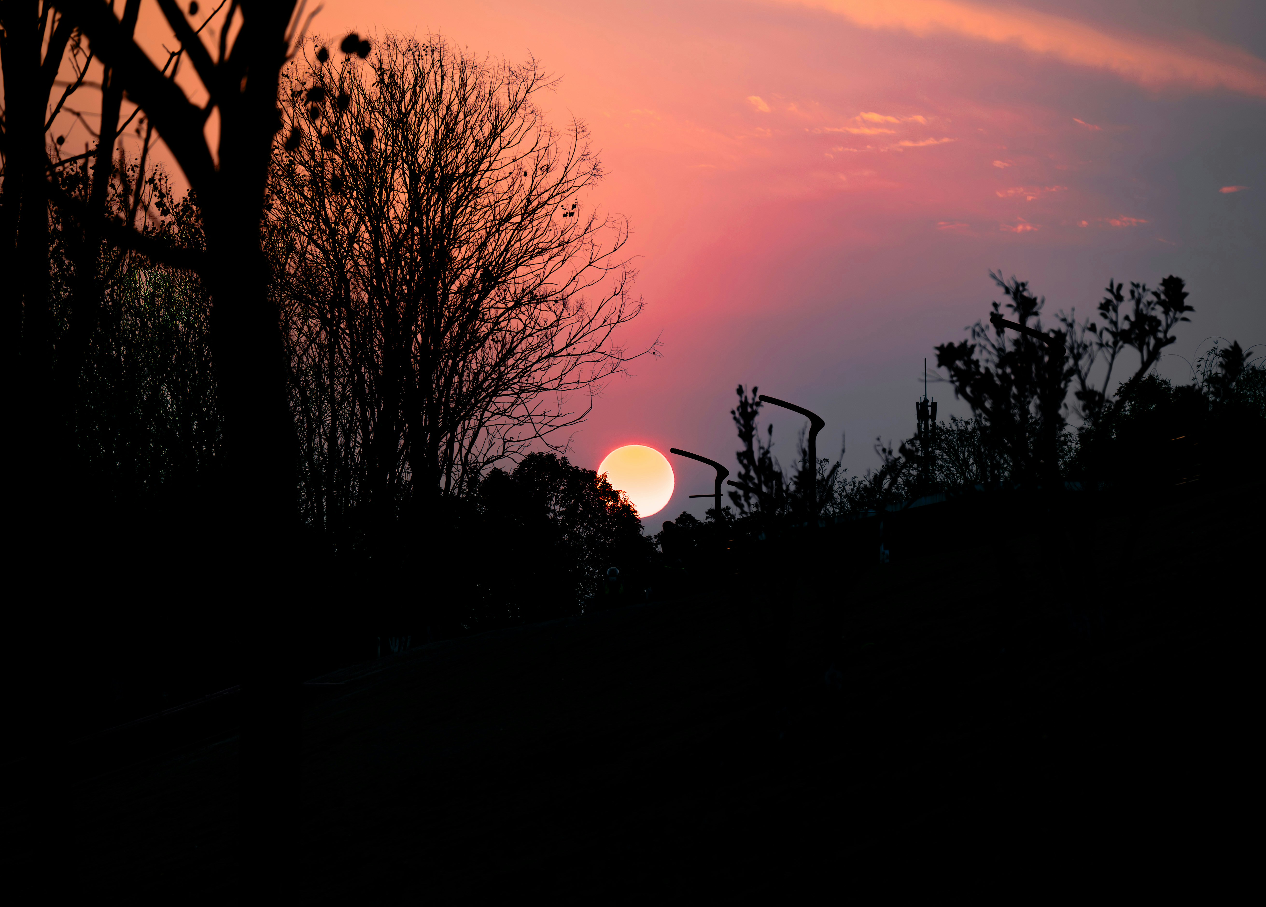 Photo by excellentcx