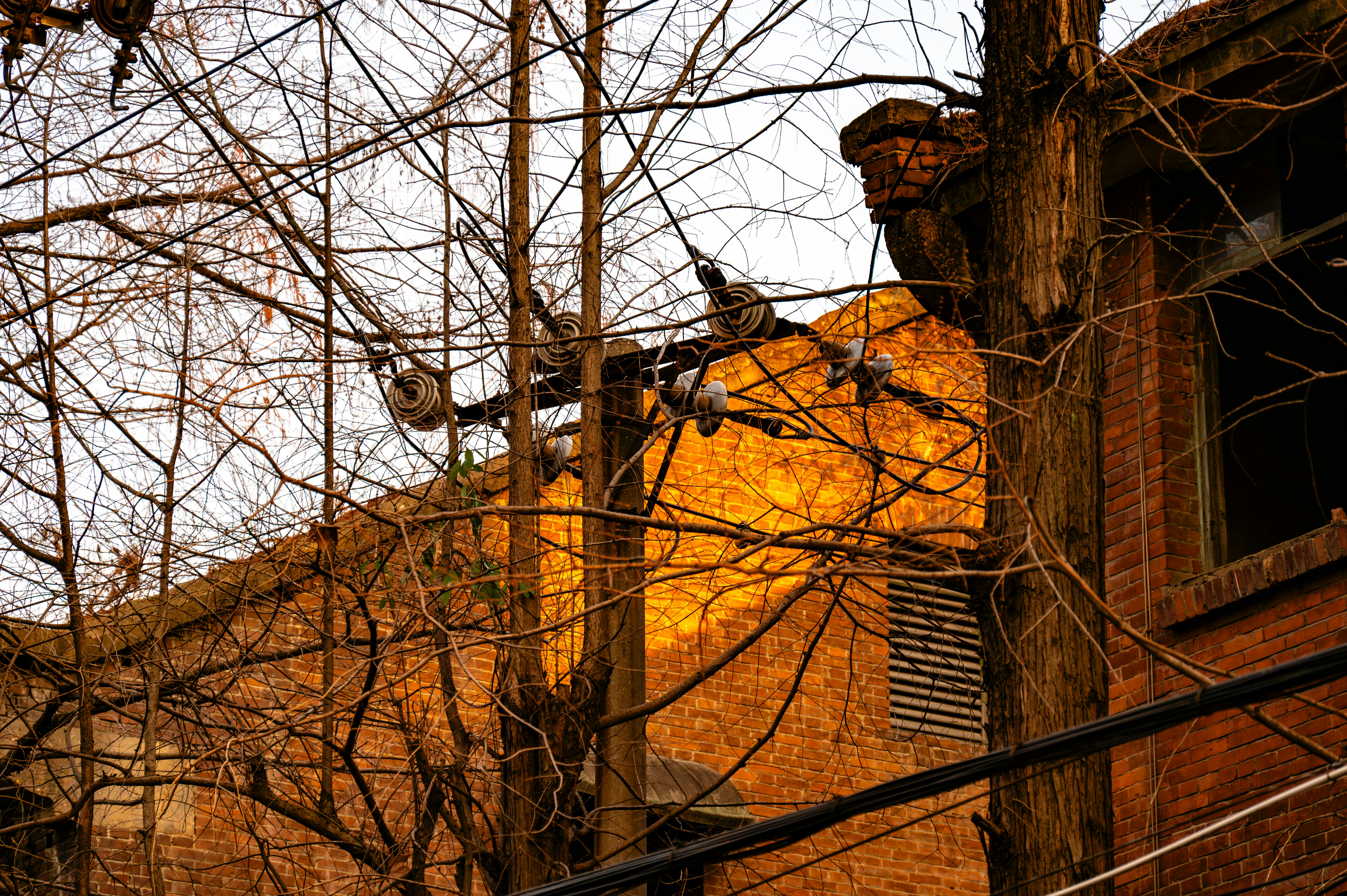 Photo by excellentcx