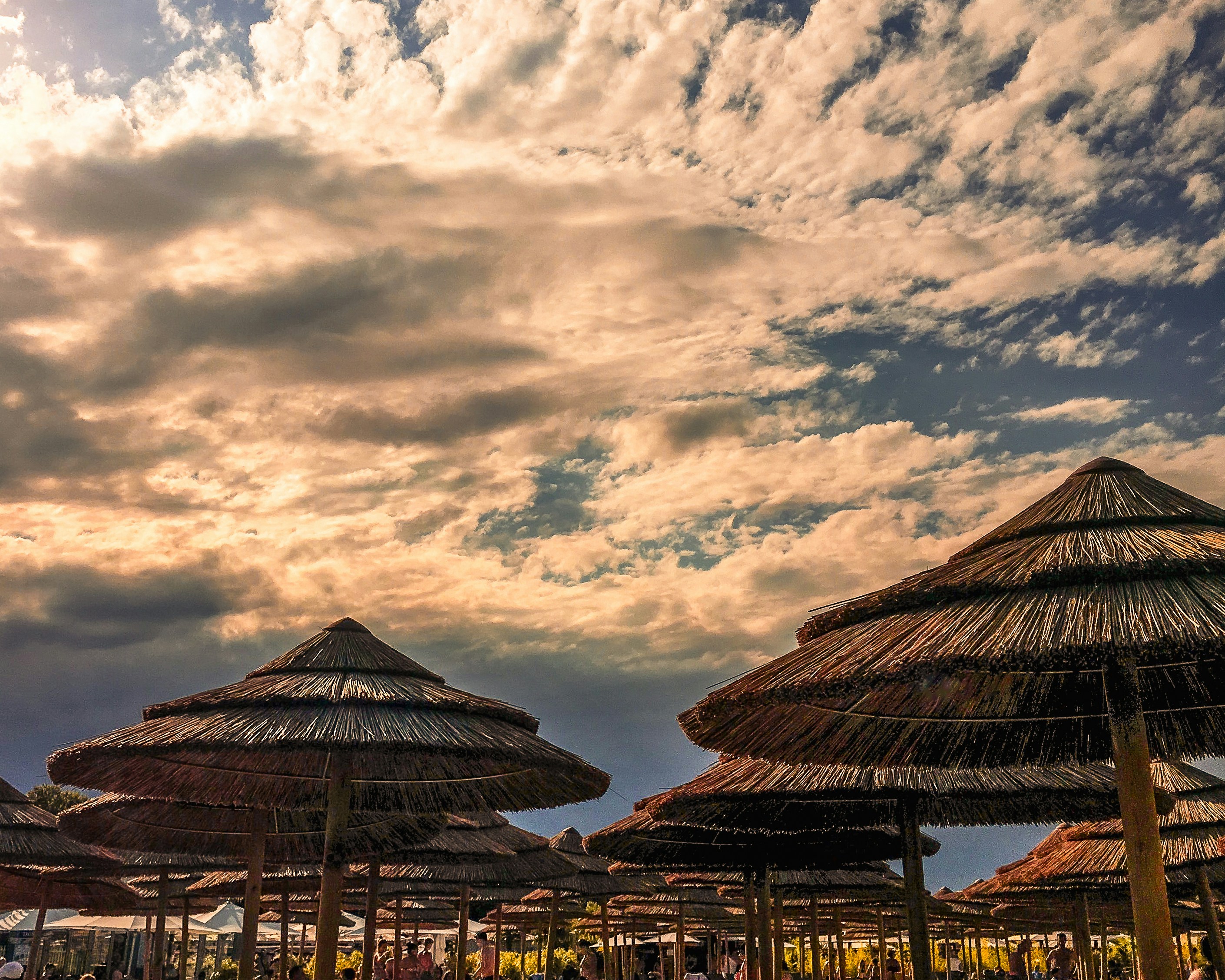 Photo by roidesplaines