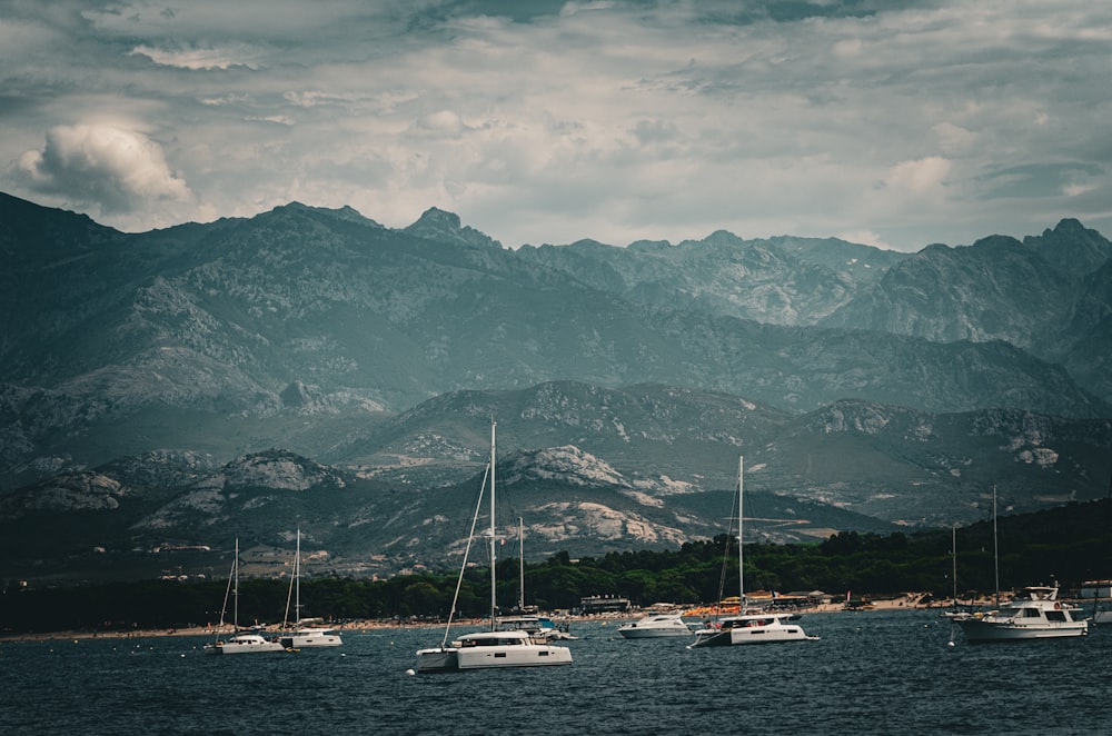 a group of boats floating on top of a body of water