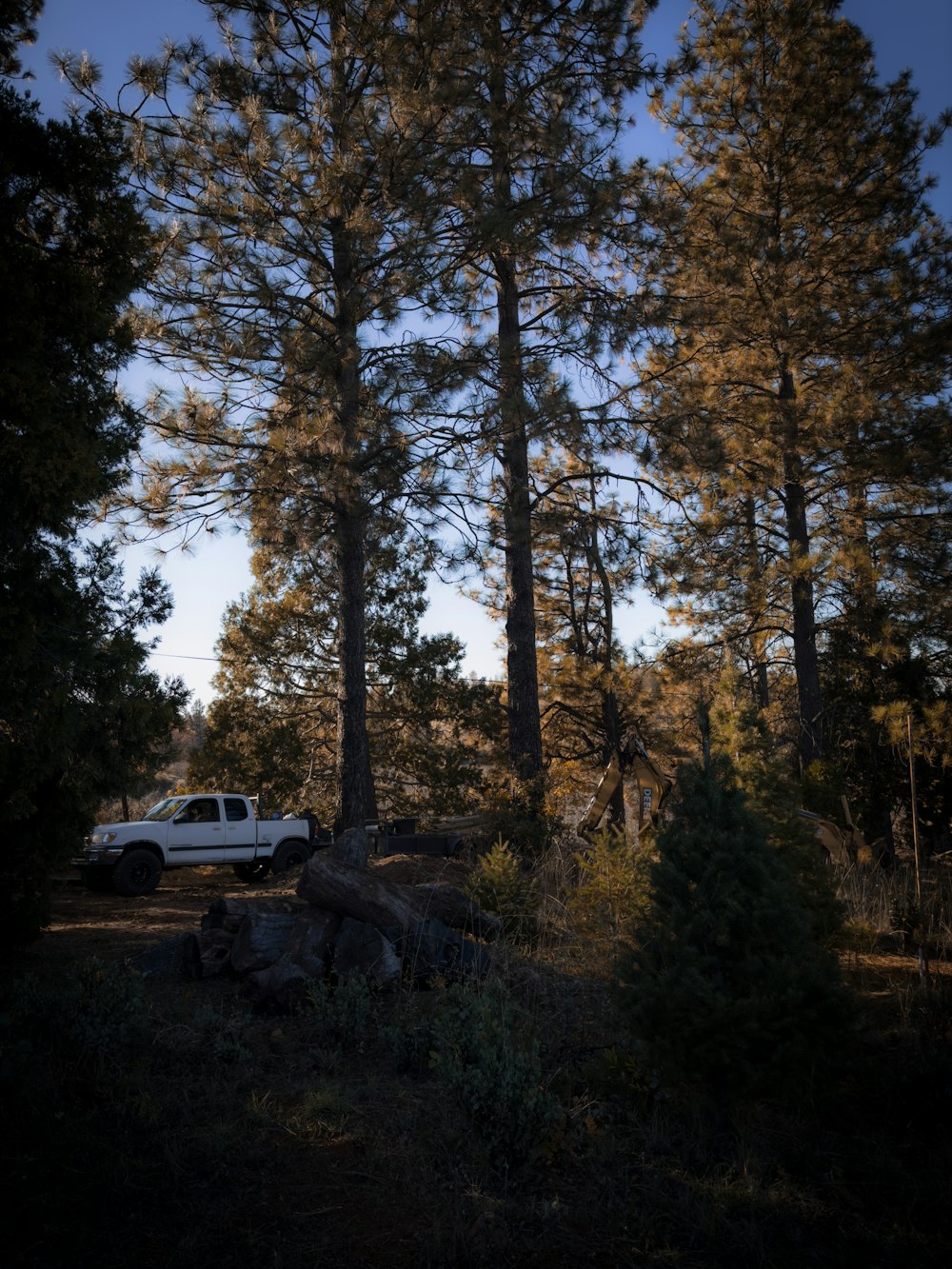 a truck is parked in the middle of a forest