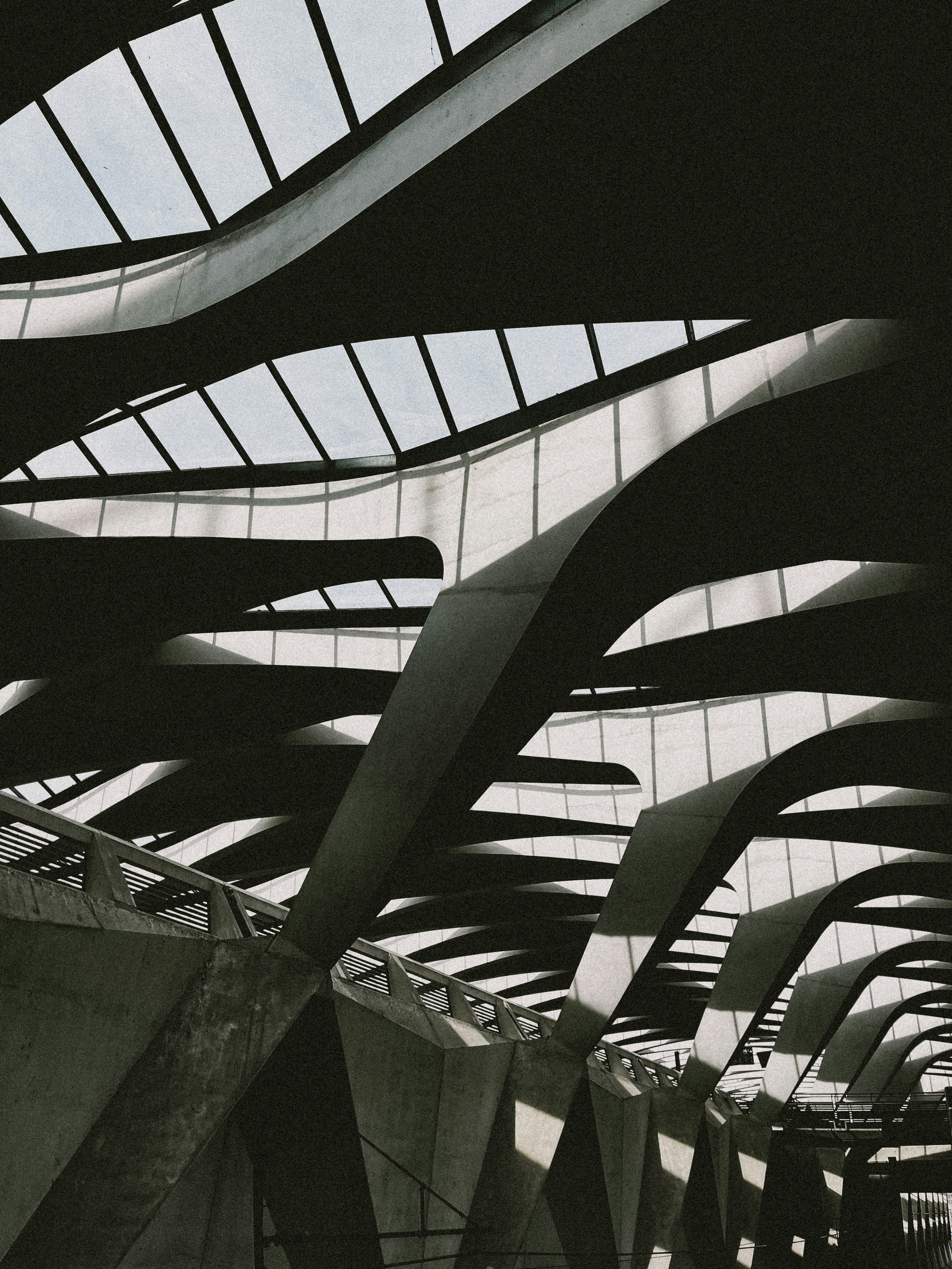 Photo by joaopratsphotography