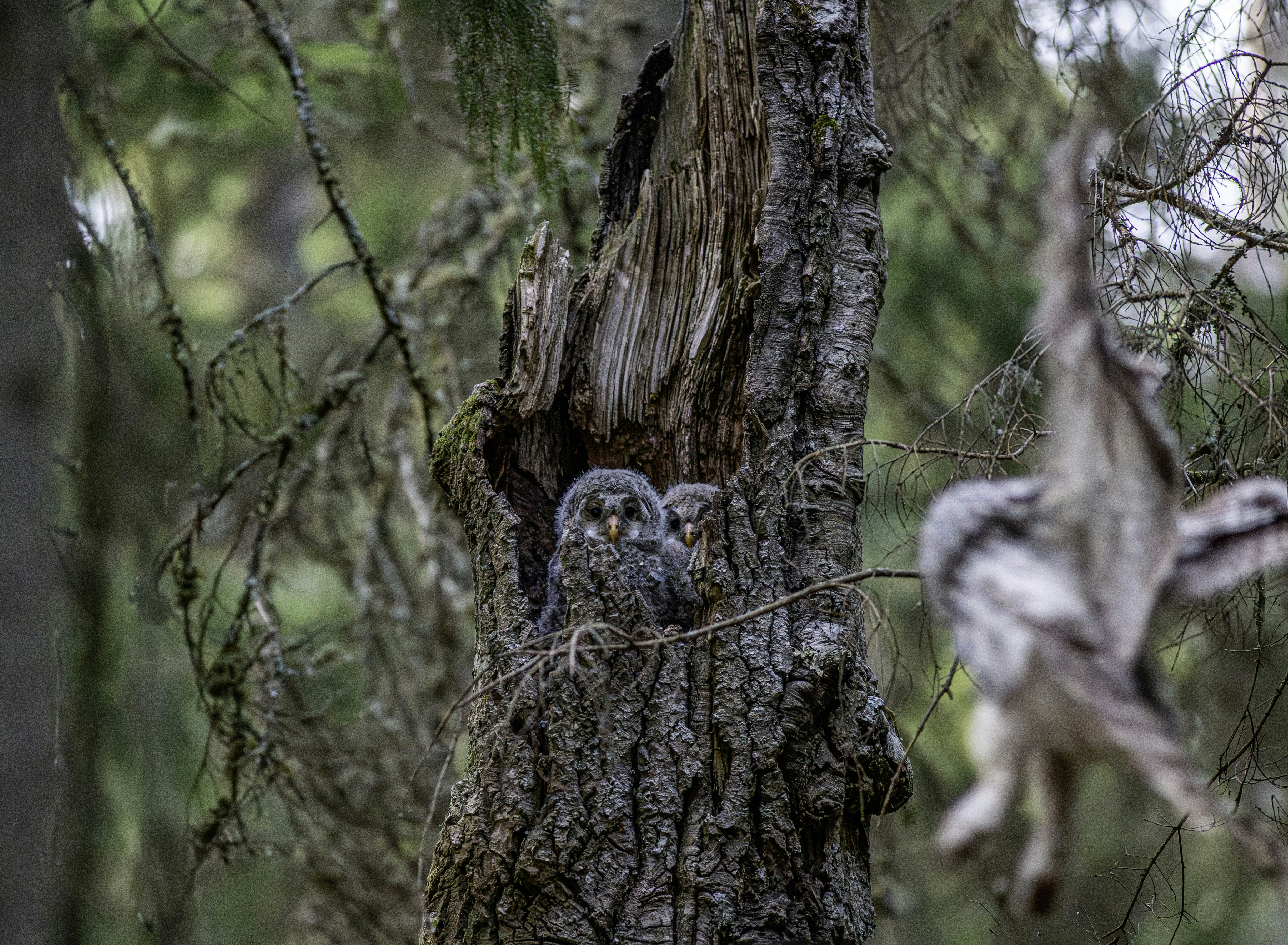 Photo by erik_karits