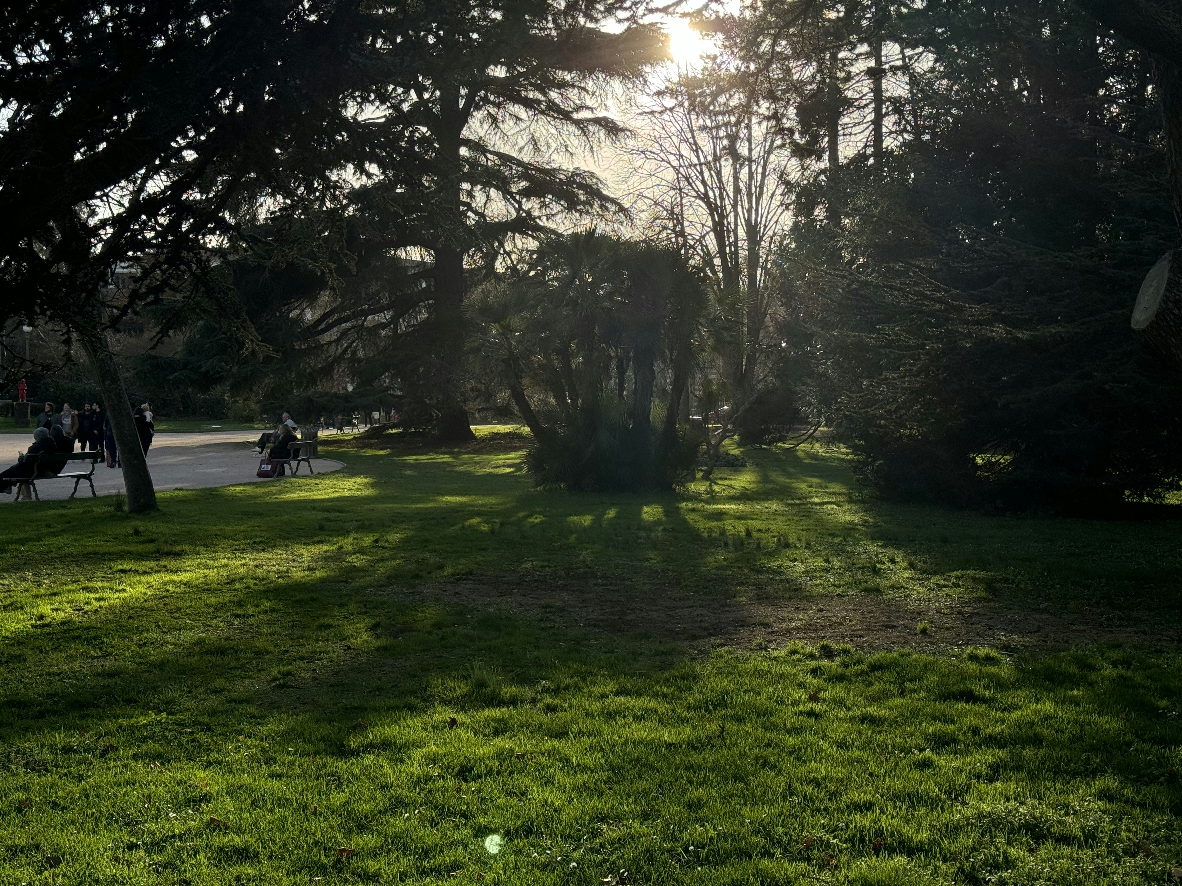 the sun shines through the trees in a park