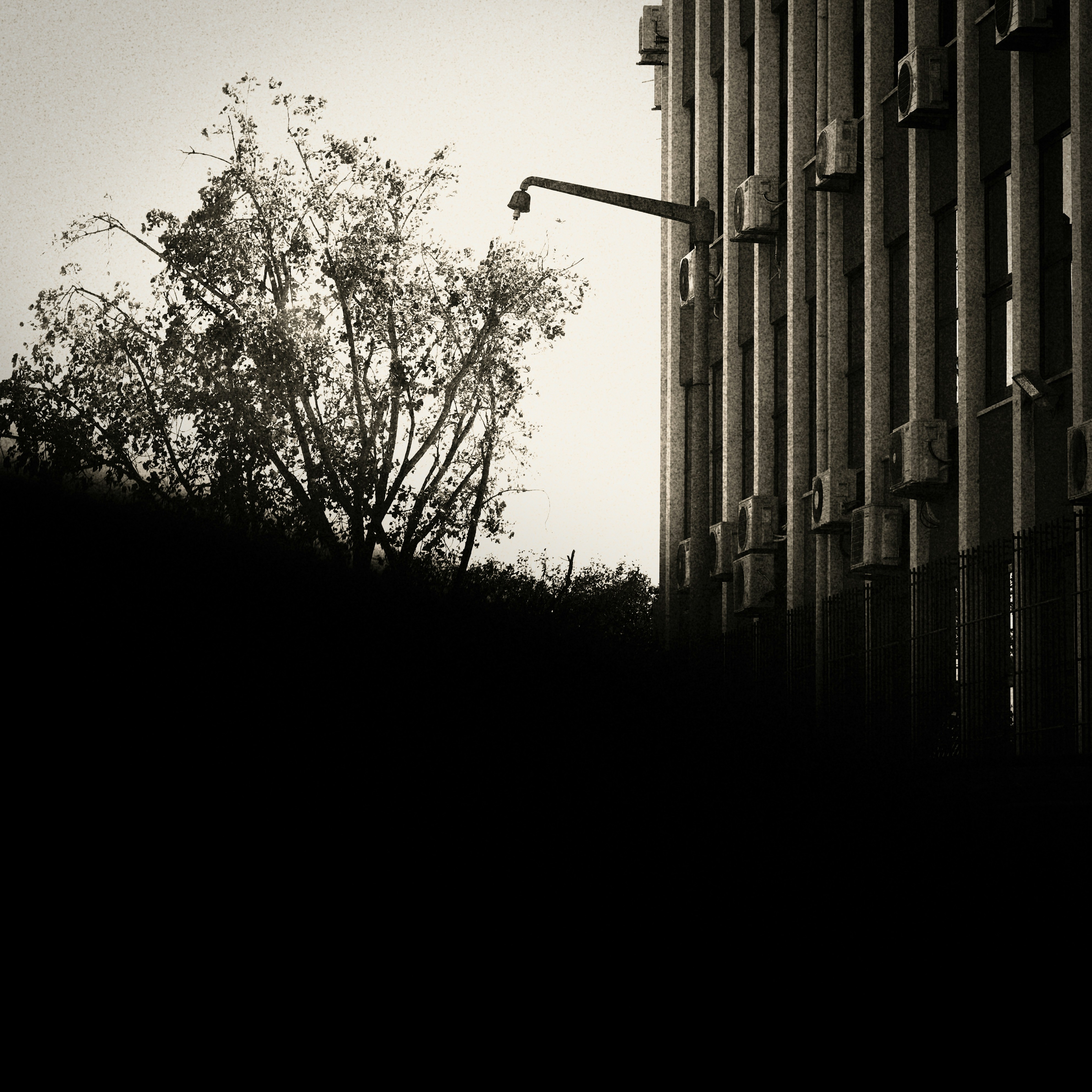 Photo by joaopratsphotography