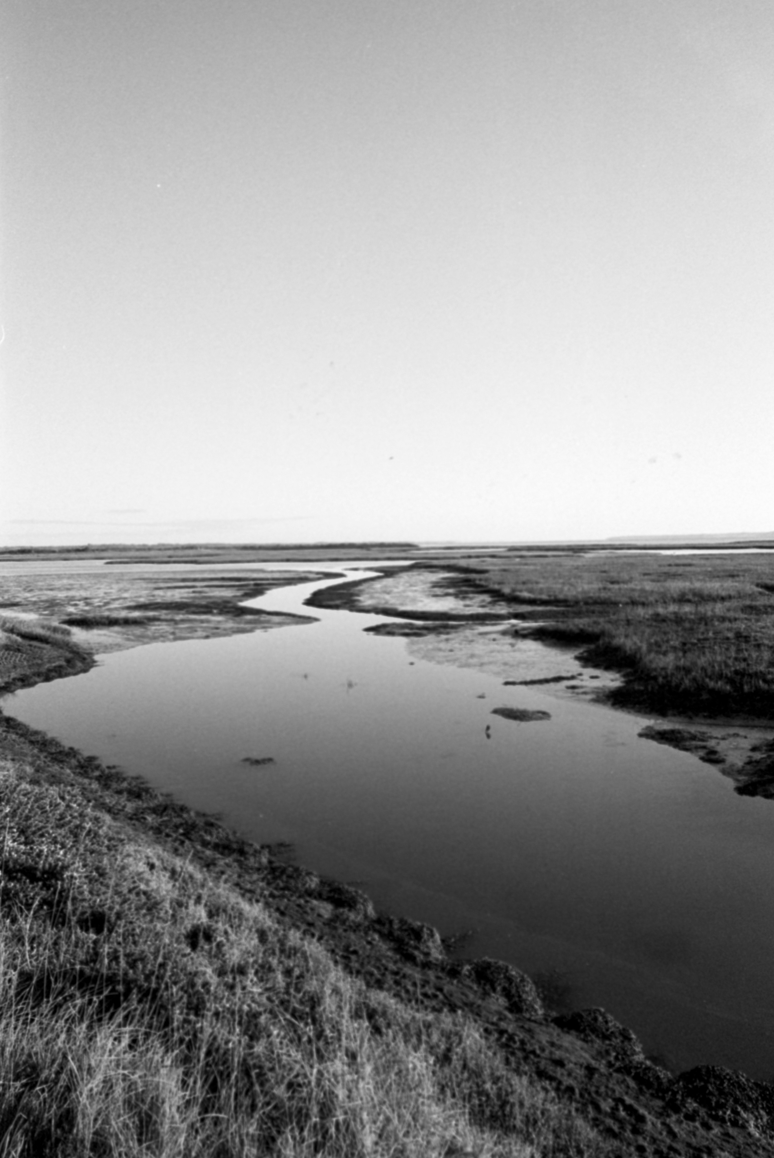 Photo by anniespratt