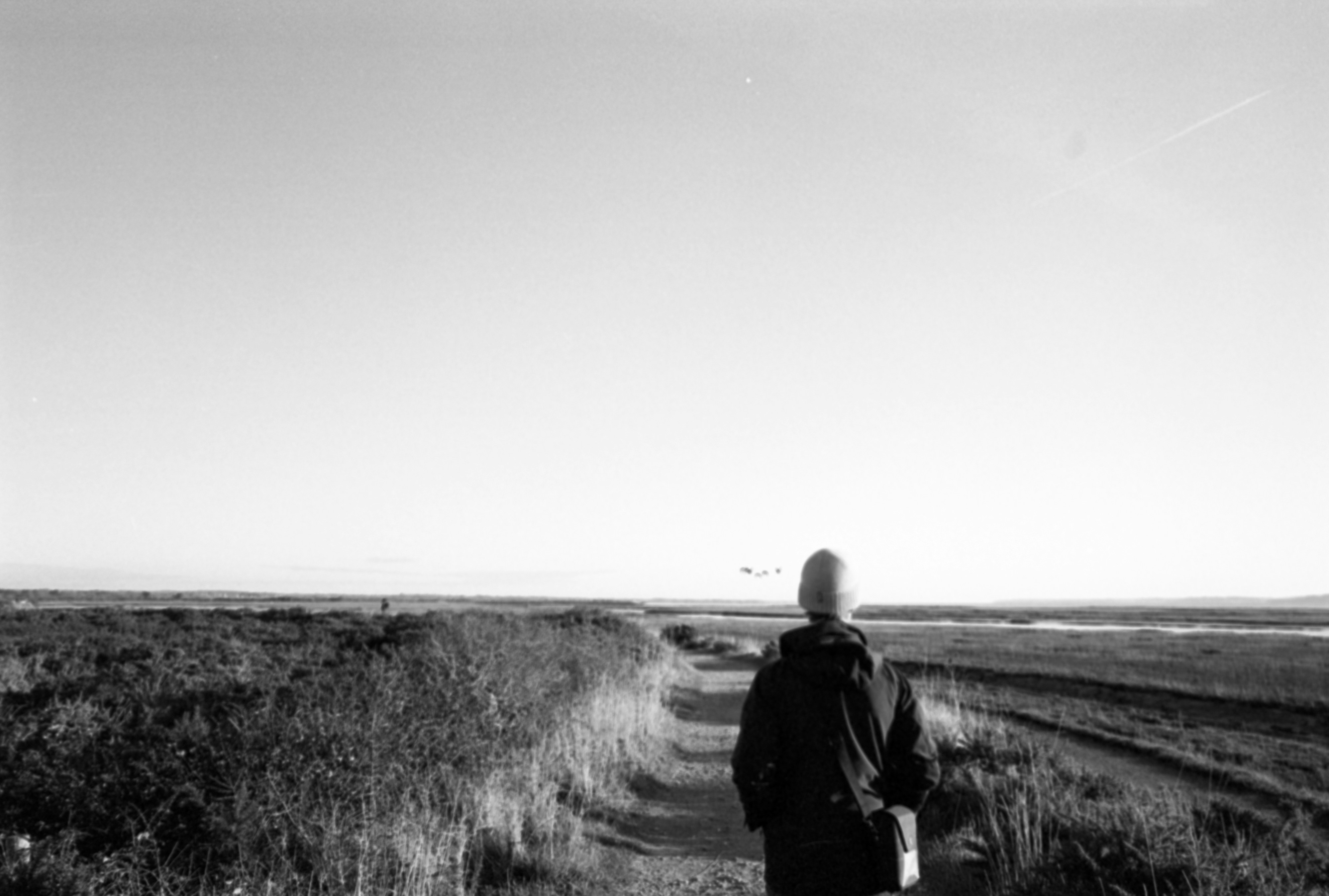 Photo by anniespratt