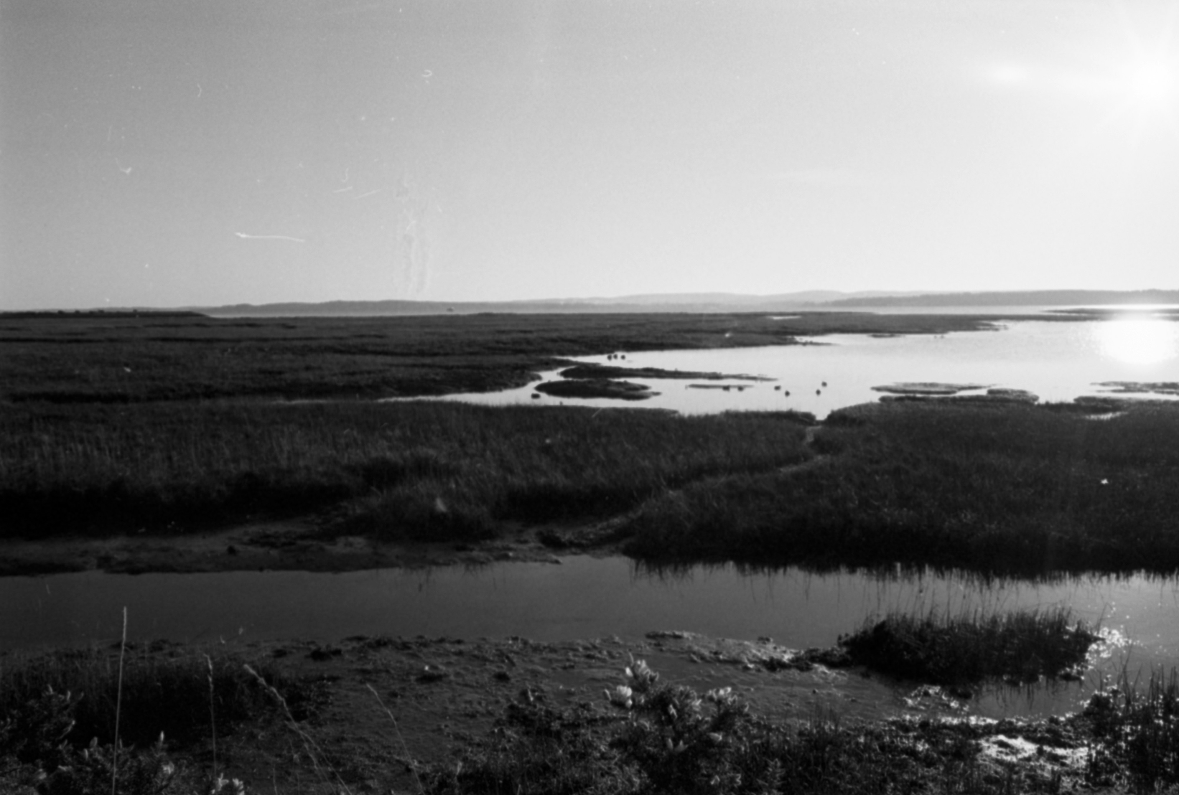 Photo by anniespratt