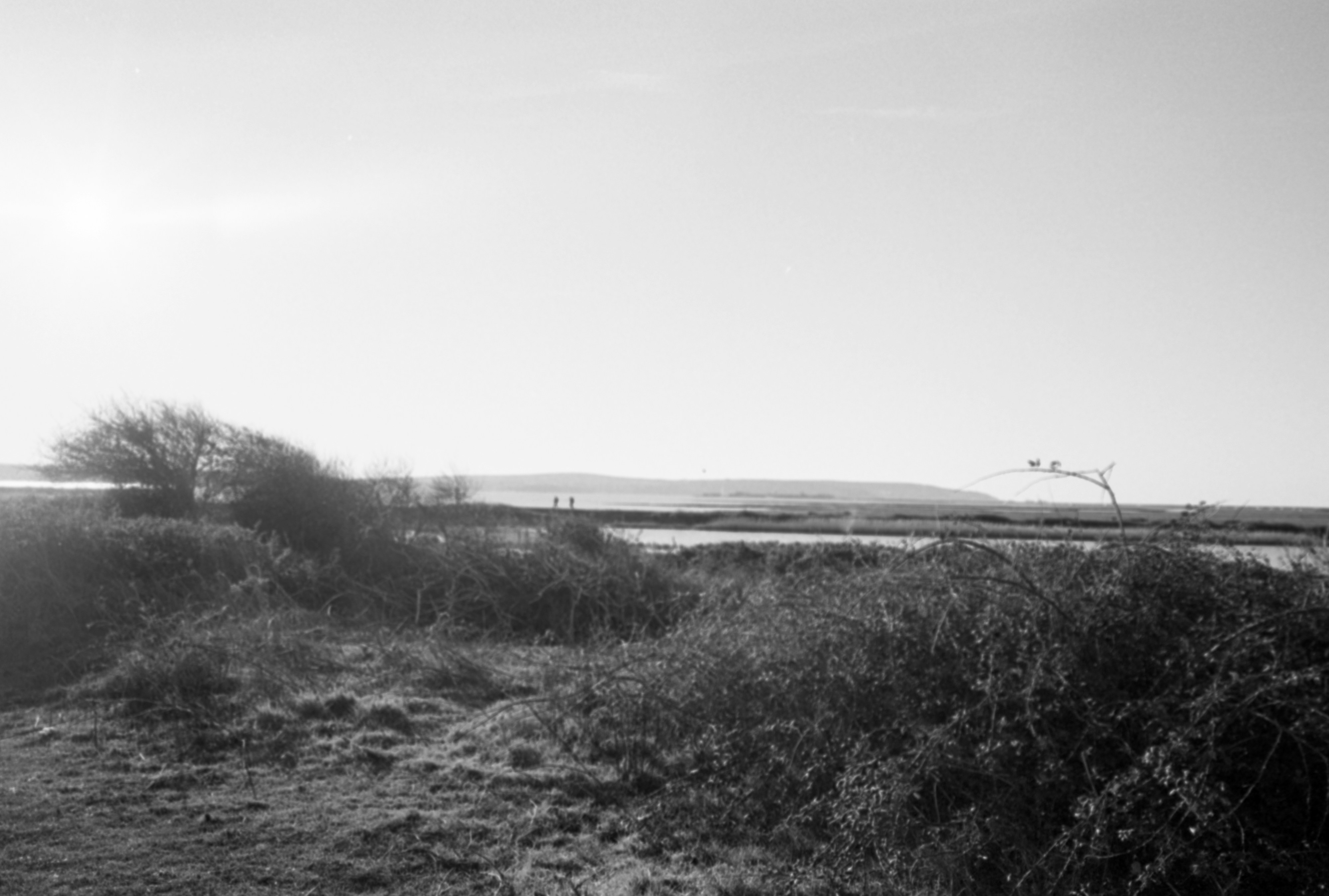 Photo by anniespratt