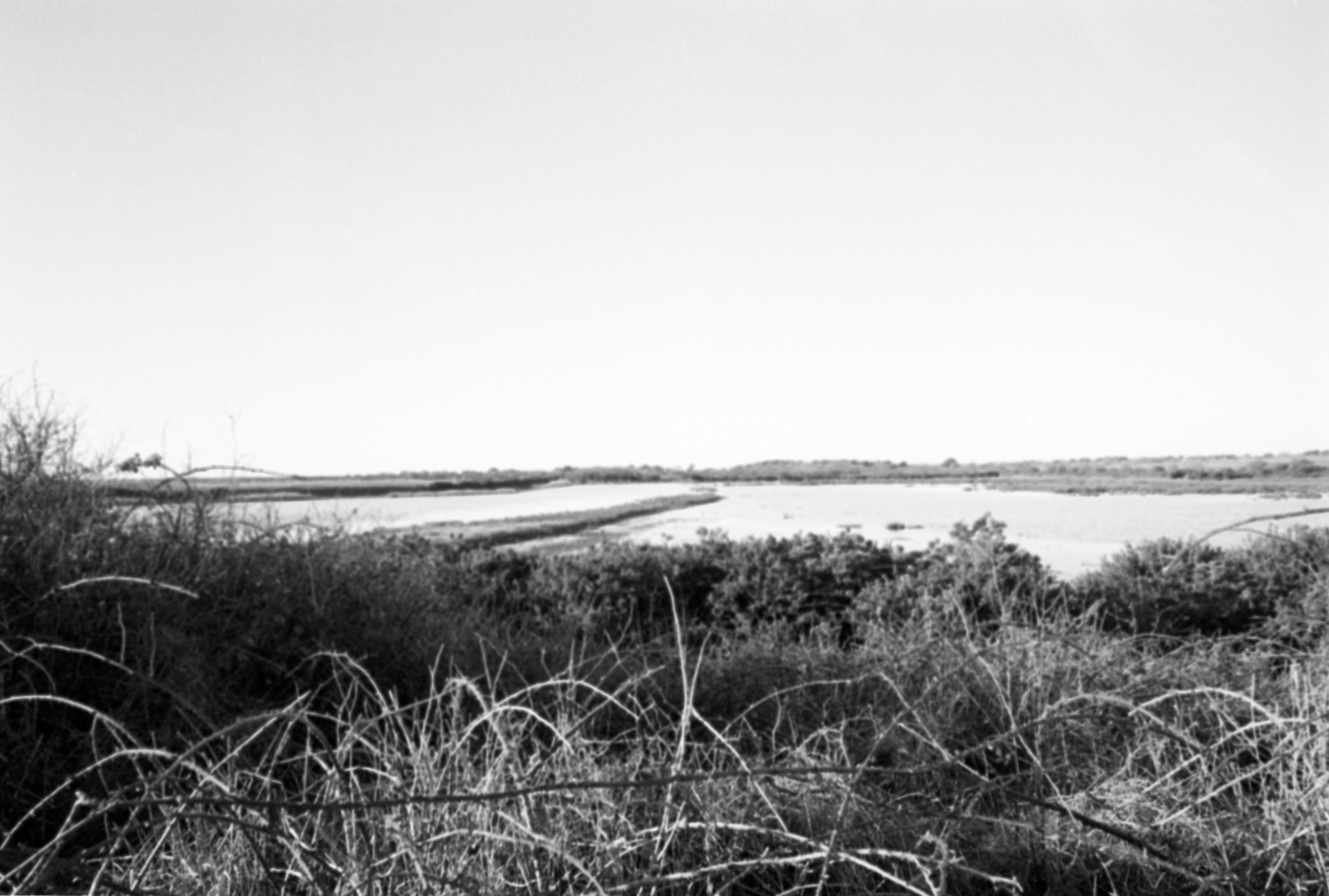 Photo by anniespratt