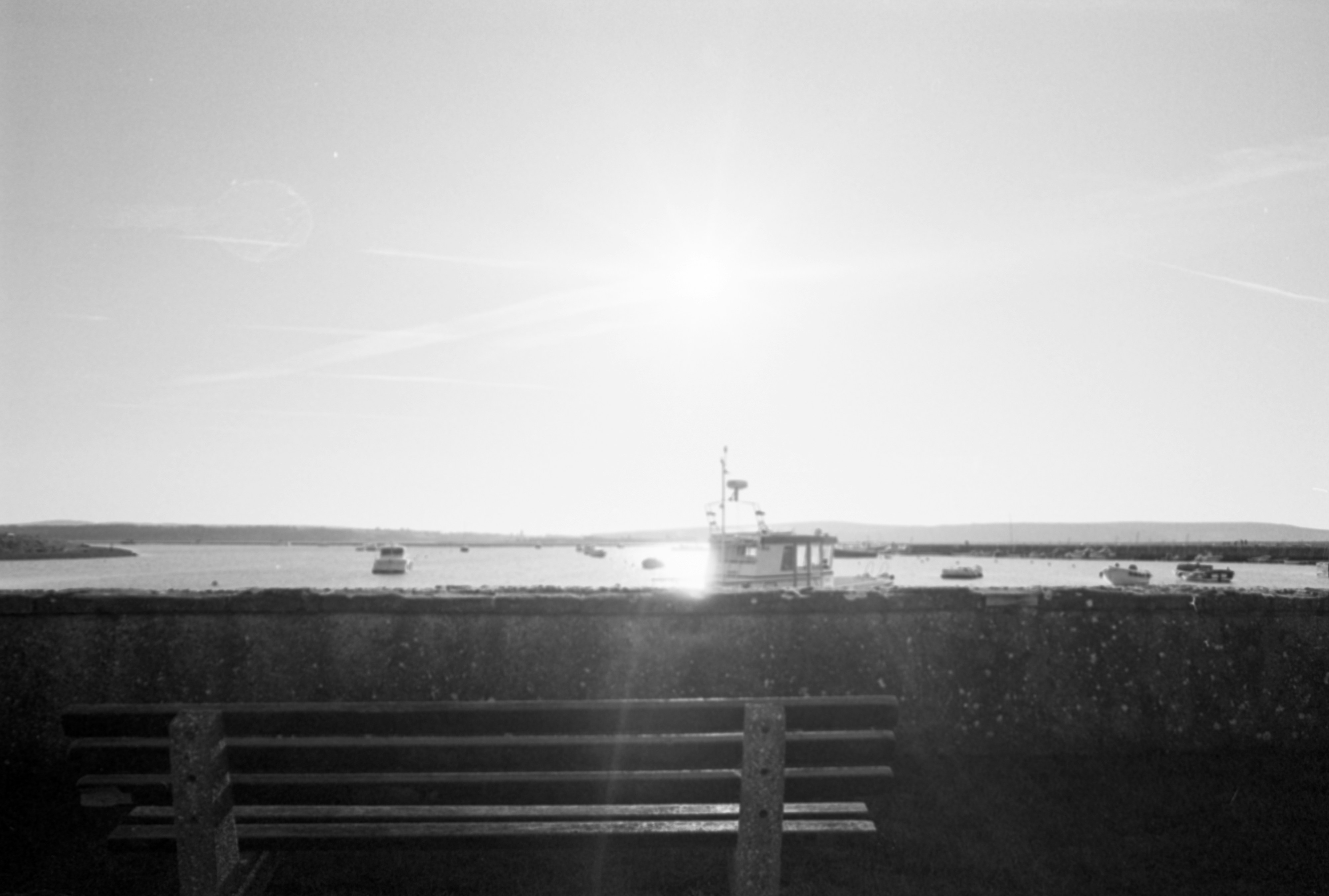 Photo by anniespratt