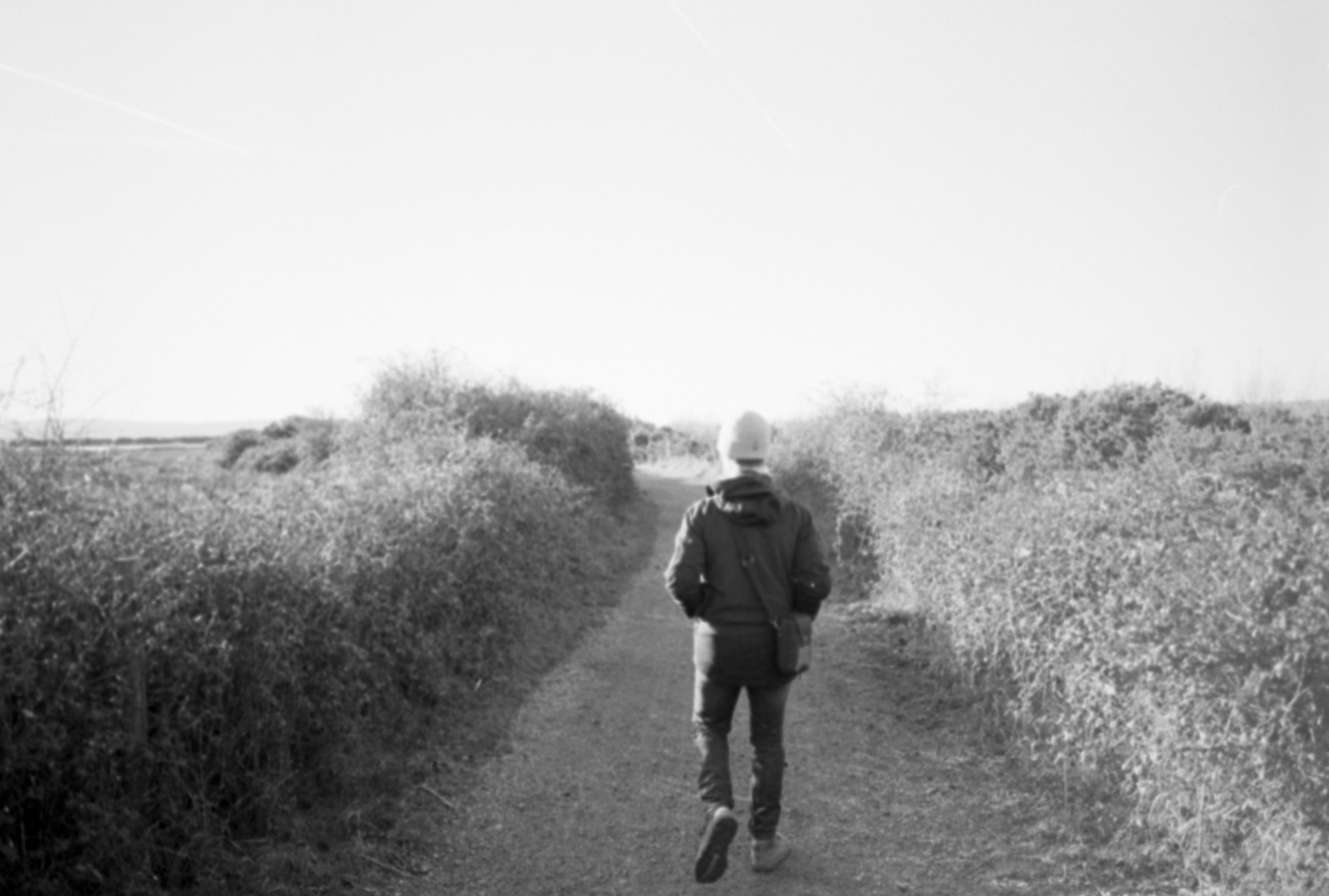 Photo by anniespratt