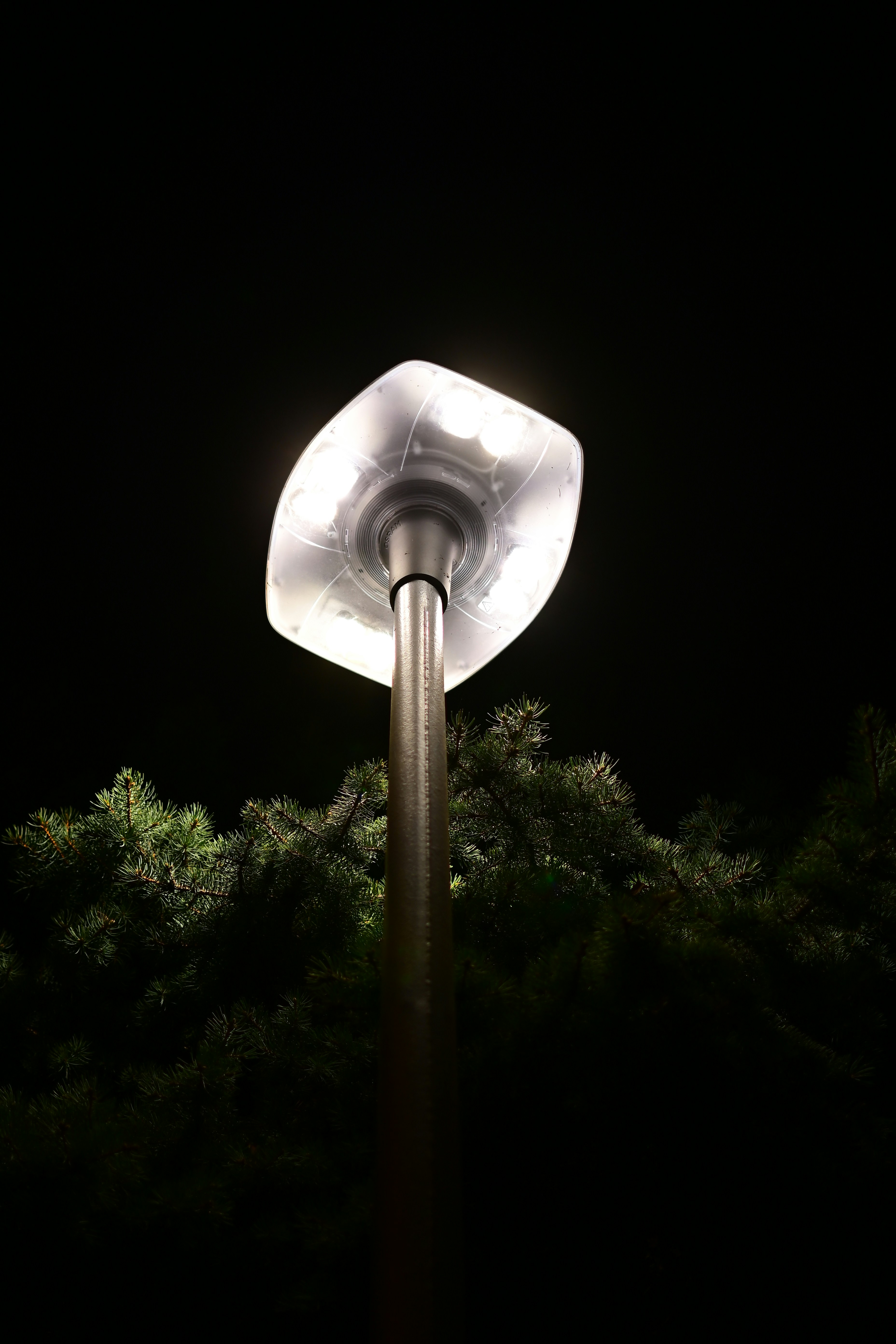 木を背景にした暗闇の街灯の写真 – Unsplashの夜の無料画像