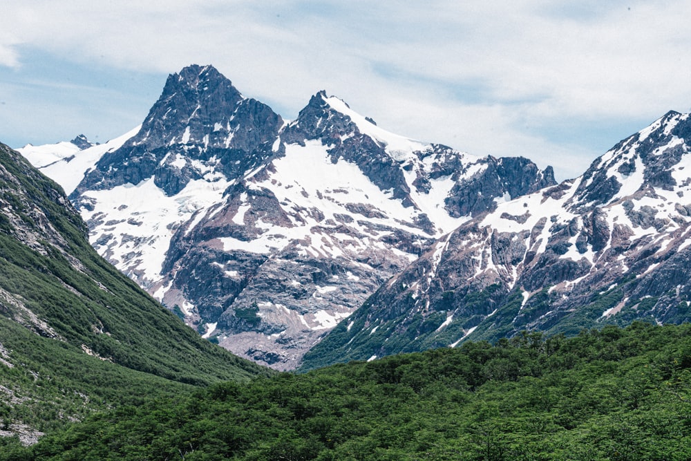 a mountain range covered in snow and green trees