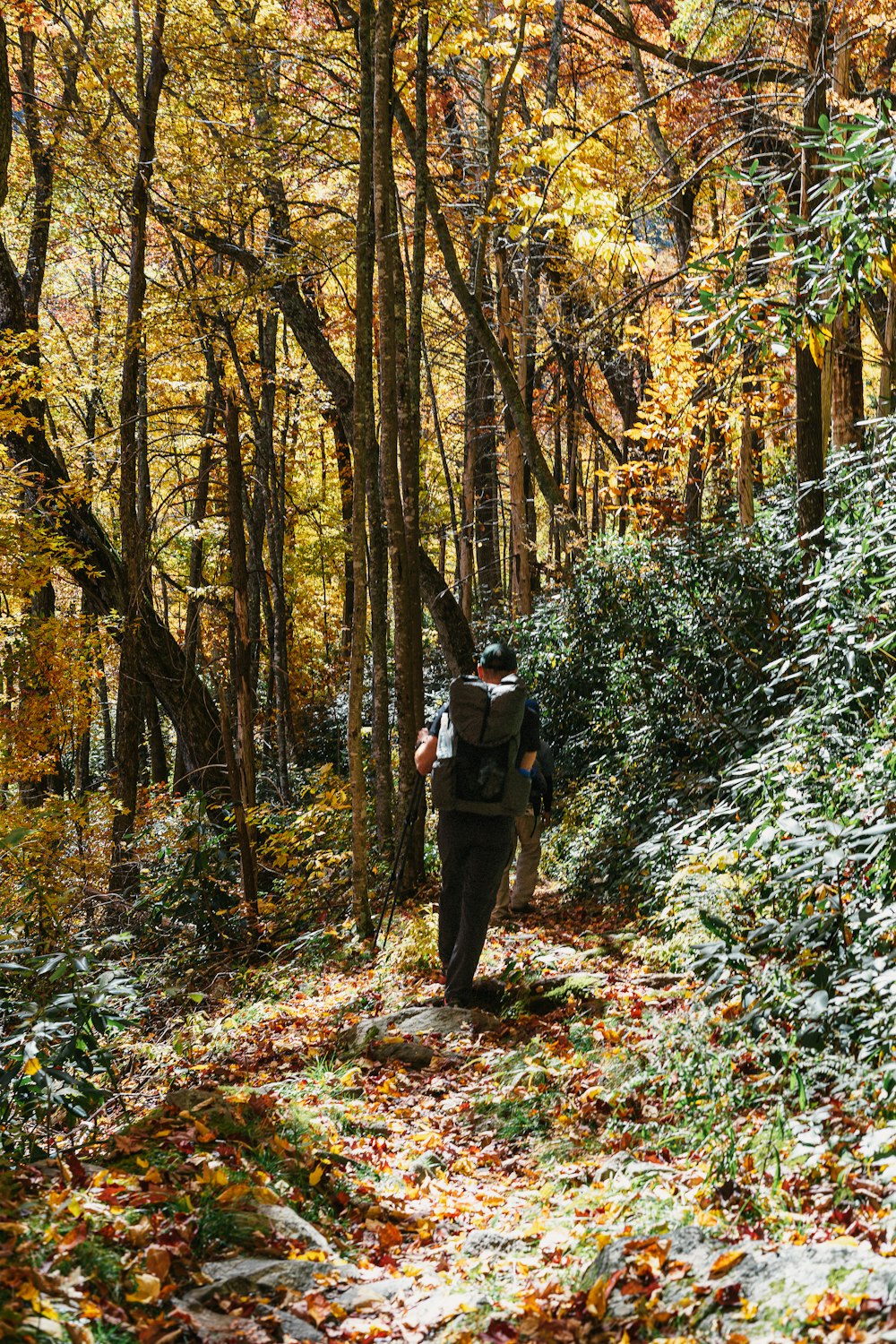 a man hiking through a forest in the fall