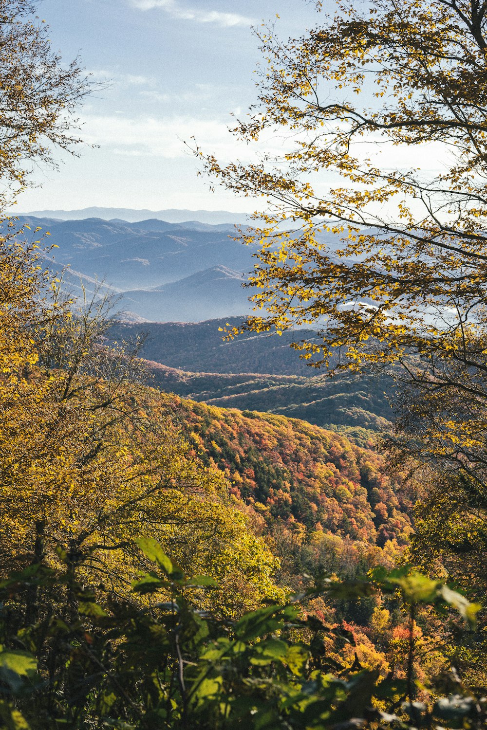 a view of the mountains from a distance