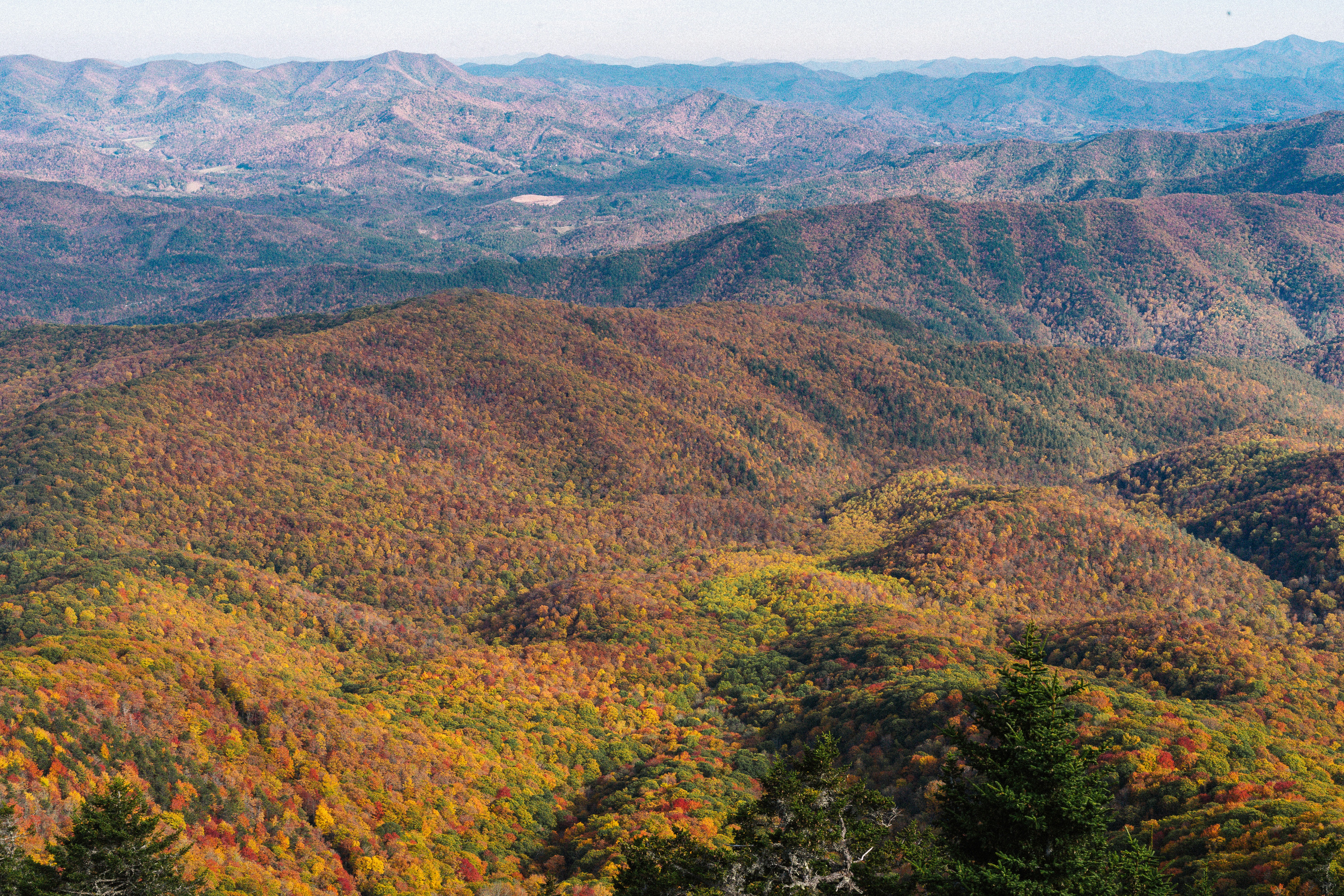 a scenic view of a mountain range in autumn