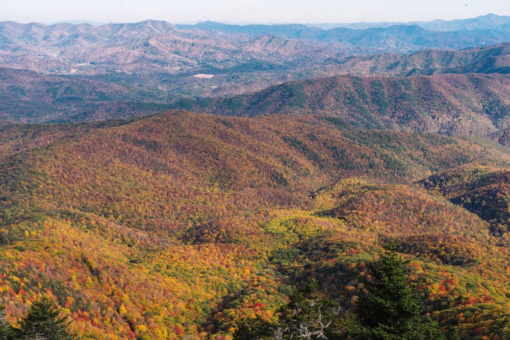 a scenic view of a mountain range in autumn