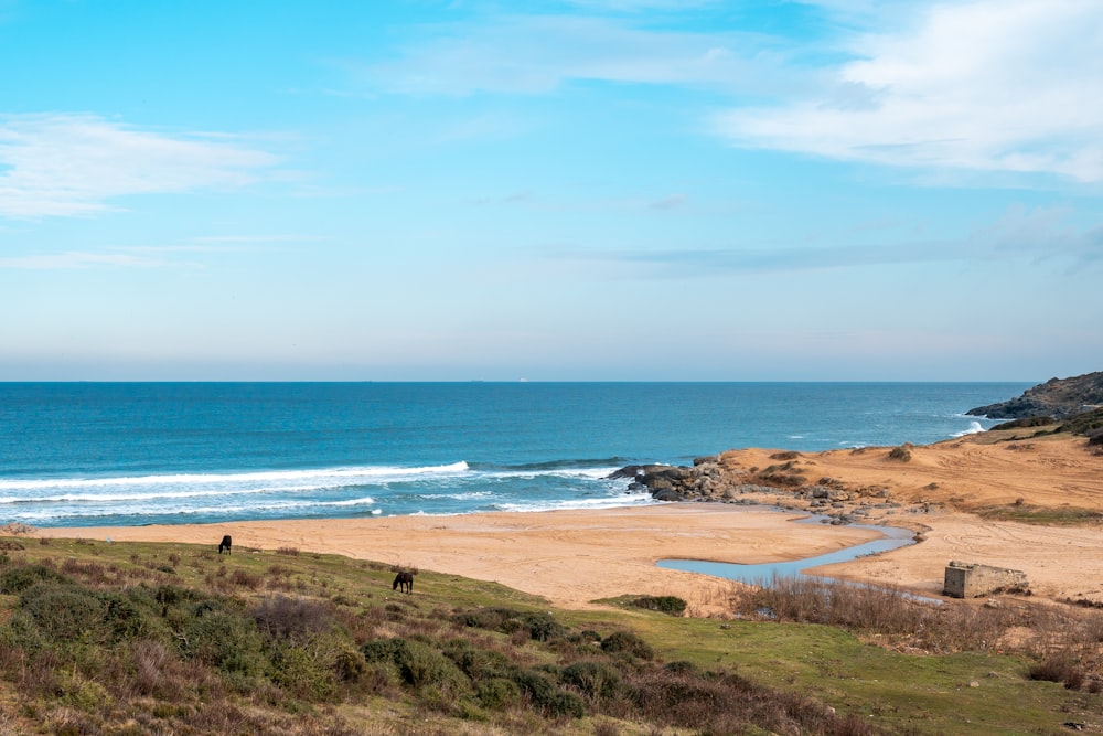 a man riding a horse on a beach near the ocean