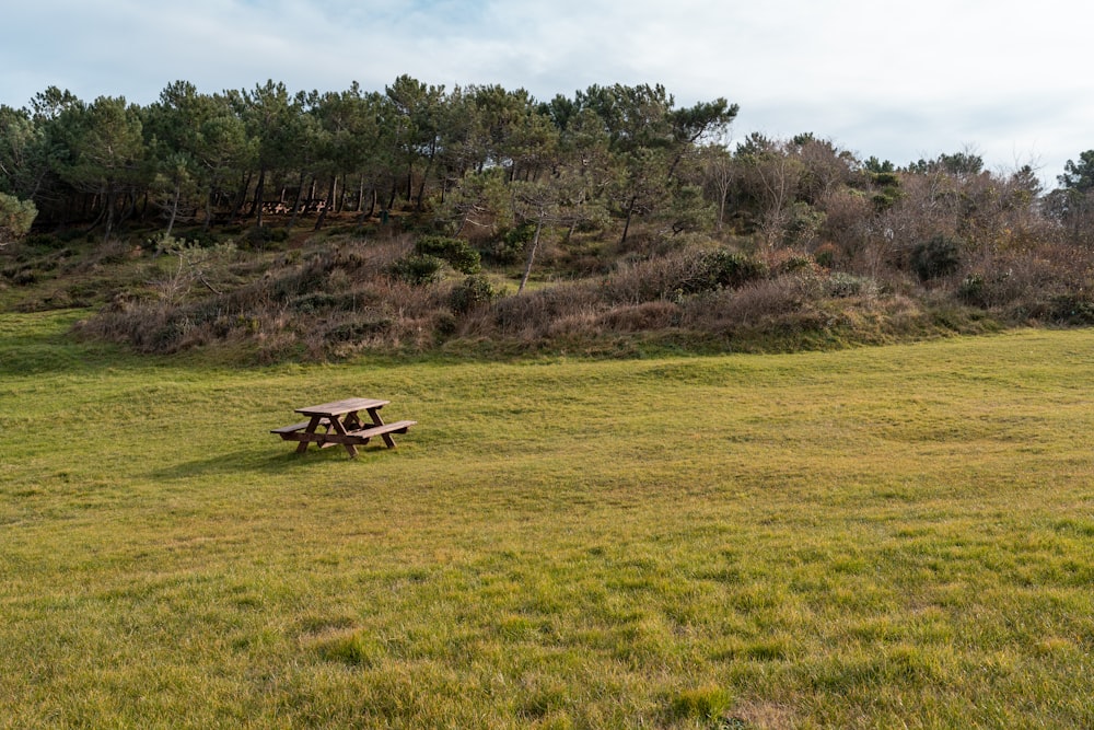 a couple of picnic tables sitting on top of a lush green field