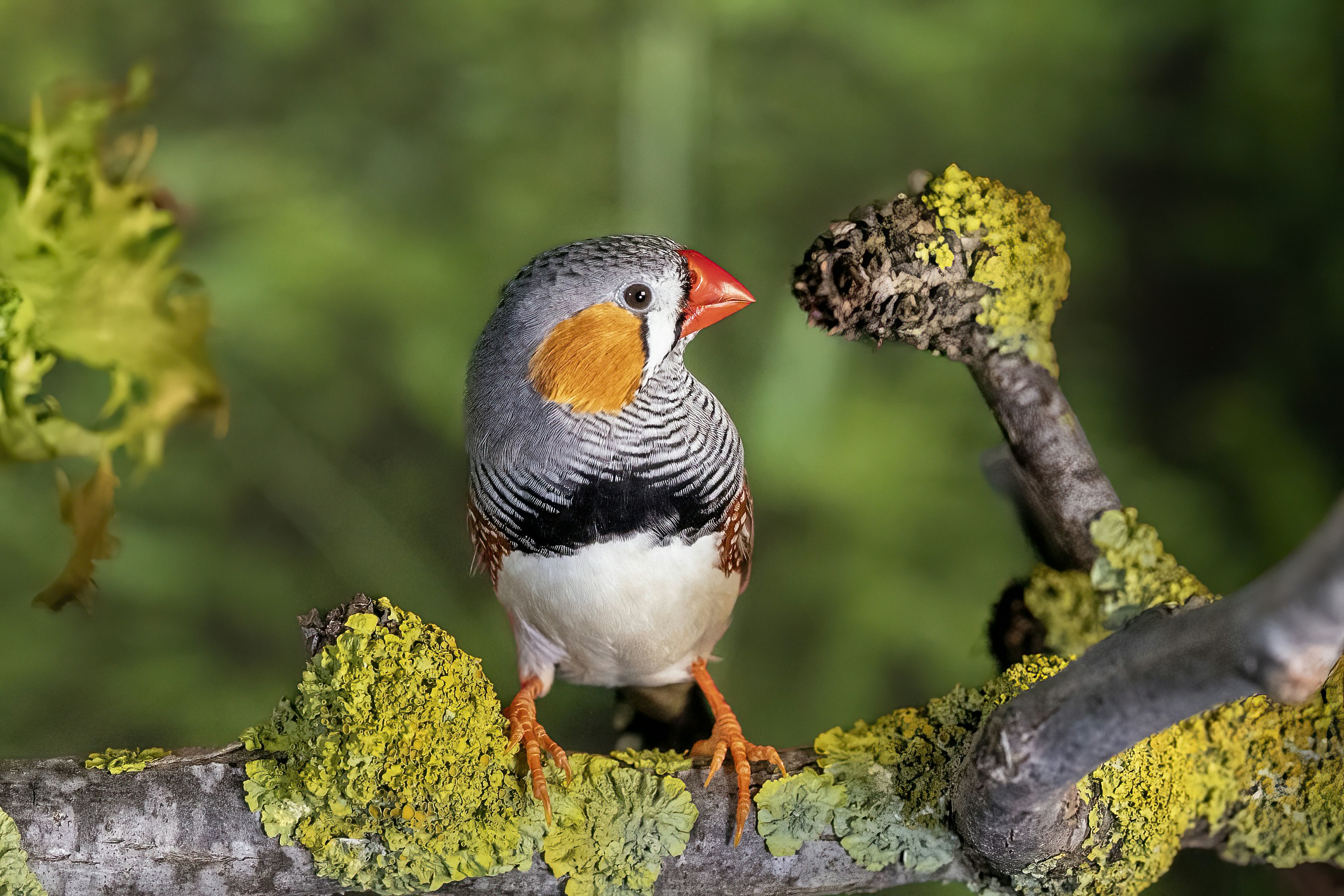 Photo by jddartphotographer