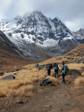 a group of people hiking up a trail in the mountains