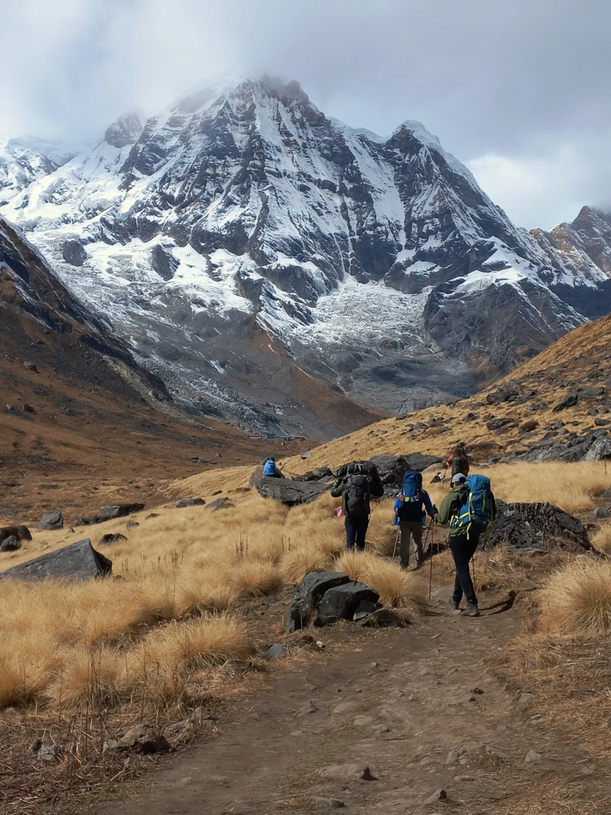 Trekkers with backpacks on a dirt trail through golden grass near Annapurna Base Camp, below a snowy peak in cloud