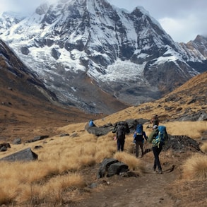 a group of people hiking up a trail in the mountains