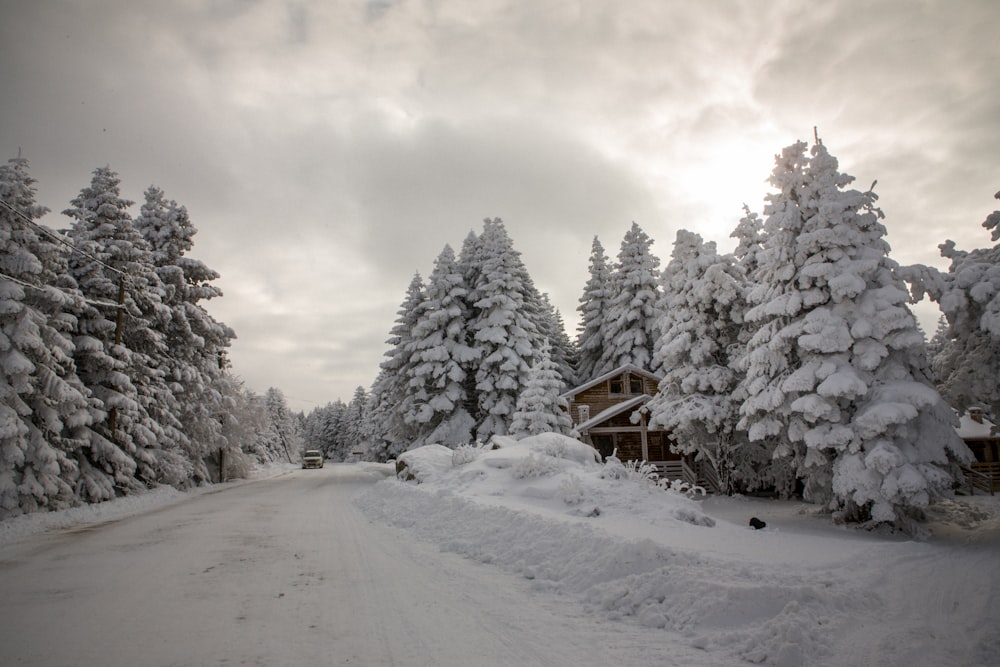 a snow covered road with a cabin in the background