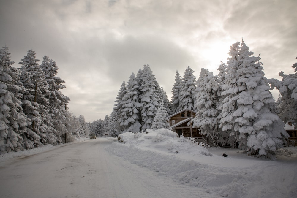 una strada innevata con una capanna sullo sfondo