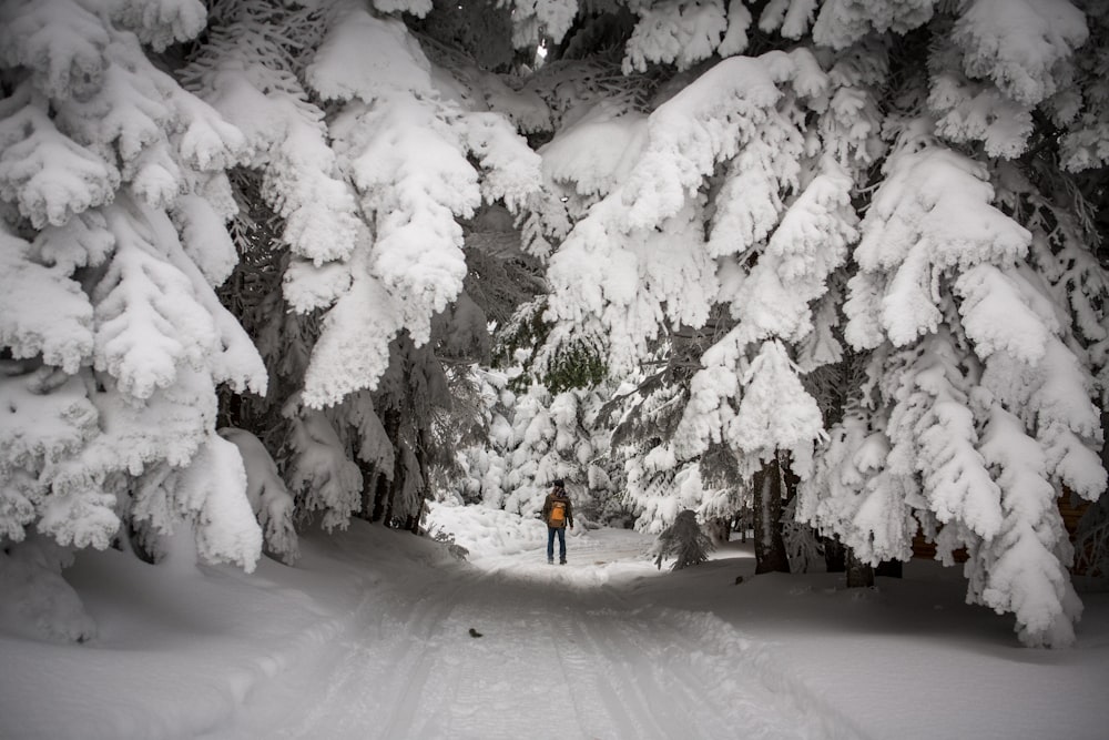 a person standing in the middle of a snow covered forest