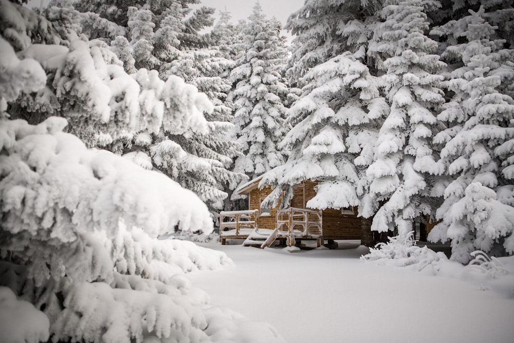a cabin in the woods covered in snow