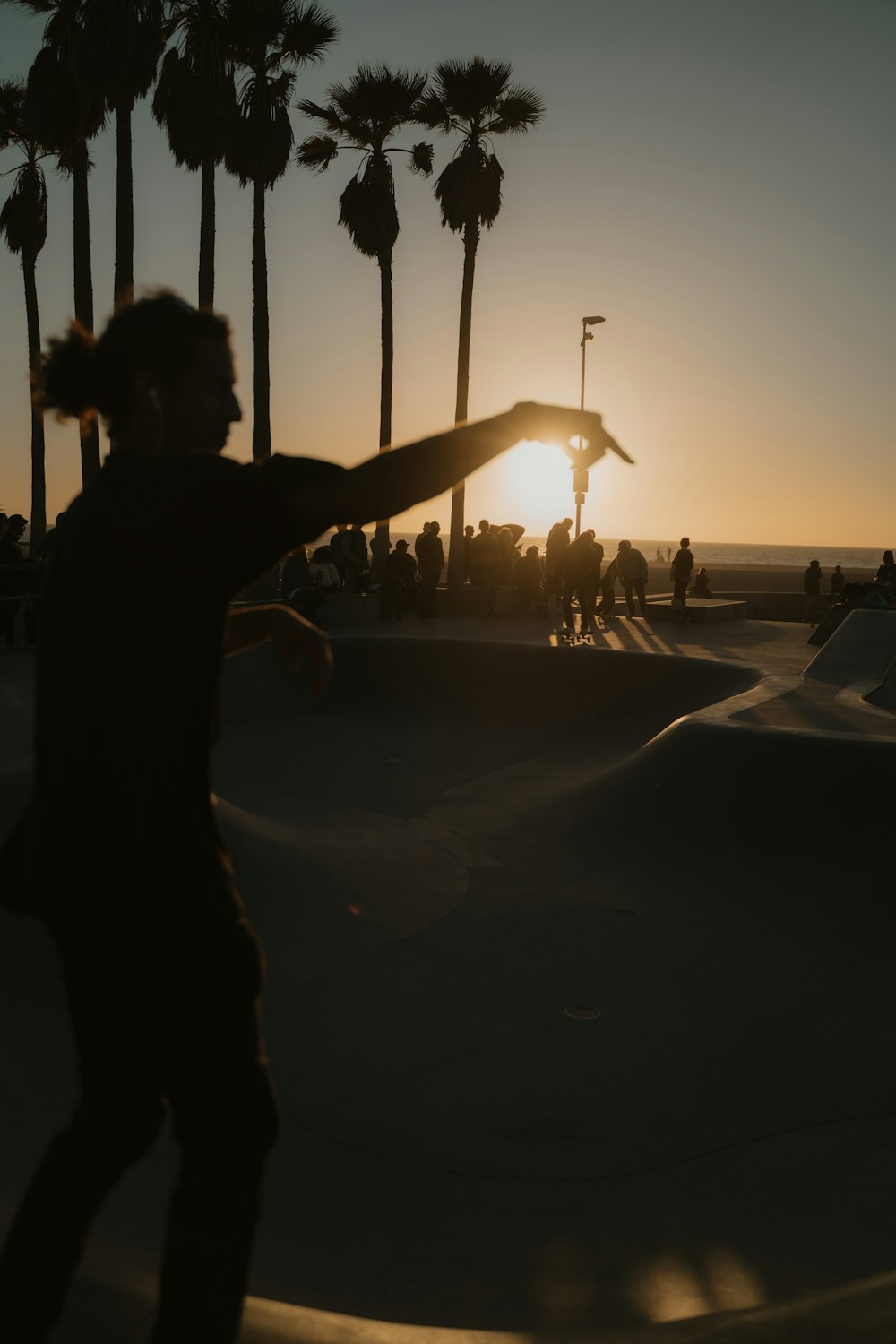a skateboarder doing a trick in front of palm trees